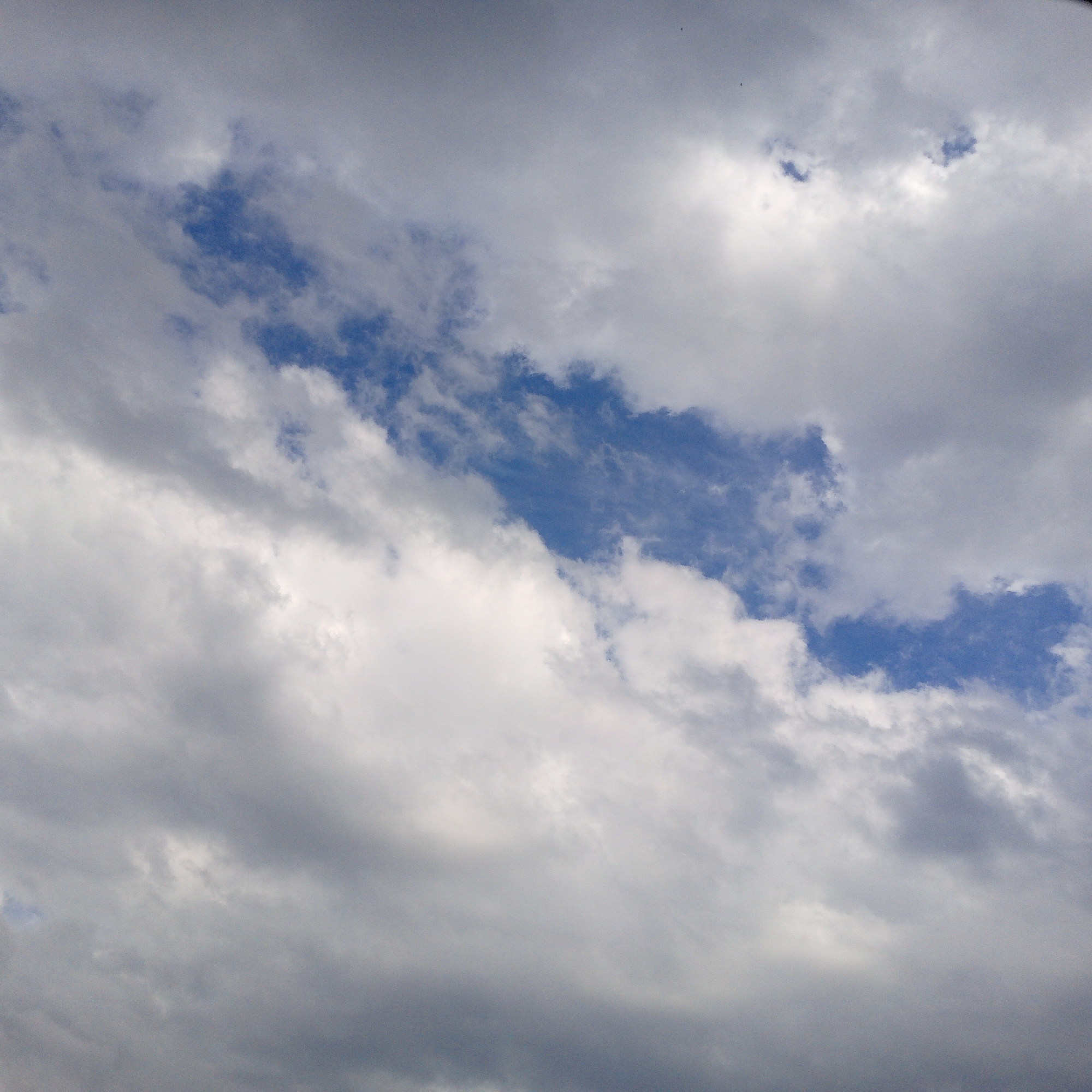 This is a close-up, eye-level, medium shot of a cloudy sky, likely taken during the day. The dominant elements are various types of clouds, ranging from bright white, fluffy cumulus clouds to darker, more diffuse stratus clouds that give the sky a somewhat dramatic and potentially overcast appearance. Patches of clear blue sky are visible through breaks in the clouds, especially towards the center and right of the frame, suggesting that the weather may be partly cloudy or clearing. There are also some very small, dark specks in the upper portion of the image, which could be distant birds or insects, though they are too small to be definitively identified. The lighting suggests it is daytime, but the cloud cover might indicate a late afternoon or an impending storm. There is no discernible location context or visible text. The overall mood conveyed is one of natural beauty and the dynamic nature of the sky.