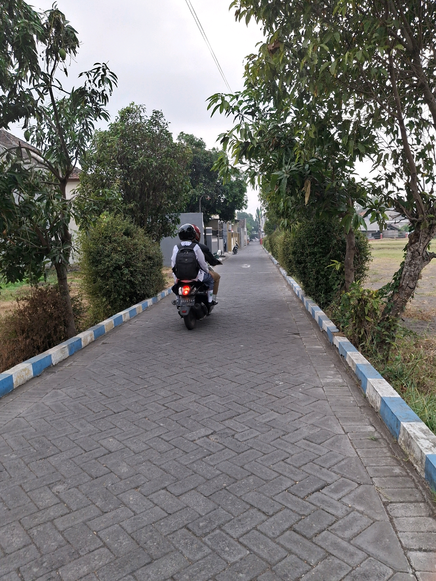 Two individuals are riding on a scooter down a paved road lined with trees and bushes. The scooter has its brake light illuminated. The road is constructed of interlocking grey pavers laid in a herringbone pattern, with a curb along the right side featuring alternating blue and white painted sections. The left side of the road has grass and some dry brush. In the background, houses and a large open field are visible. The sky is overcast. The scooter's license plate is visible and reads "N 4170 YAP". The image appears to be taken in a residential or semi-rural area.