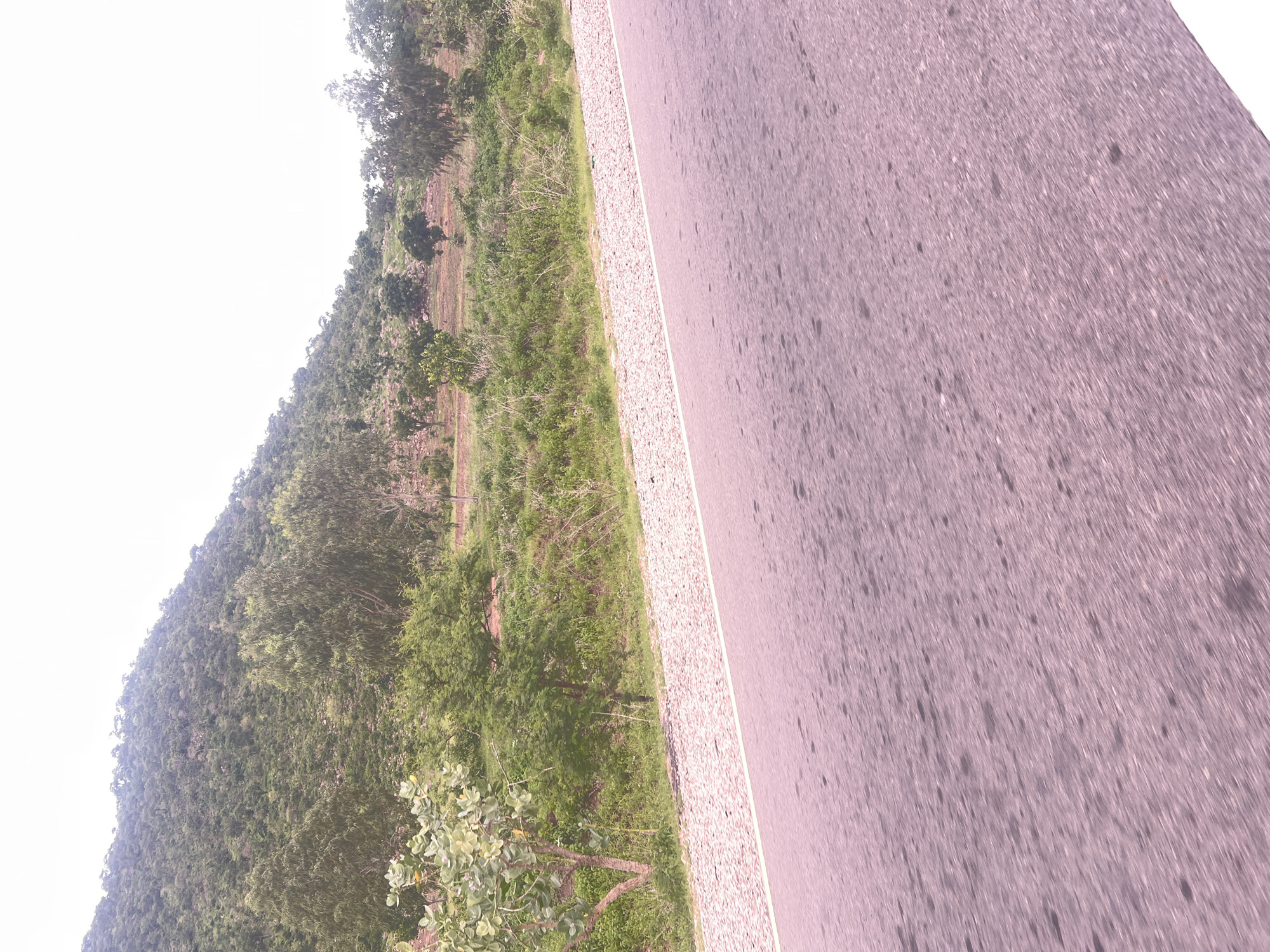 The image shows a roadside view in Minda, Nigeria. In the foreground, a paved road is visible, with a gravel shoulder and a white line marking its edge. Beyond the road, a grassy slope rises, dotted with various trees and shrubs. The slope leads up to a densely vegetated hillside, which is covered in trees and appears to be part of a natural landscape. The sky is bright and appears to be overcast or hazy, with a washed-out white color. The overall scene suggests a rural or semi-rural environment outside of the main city area.