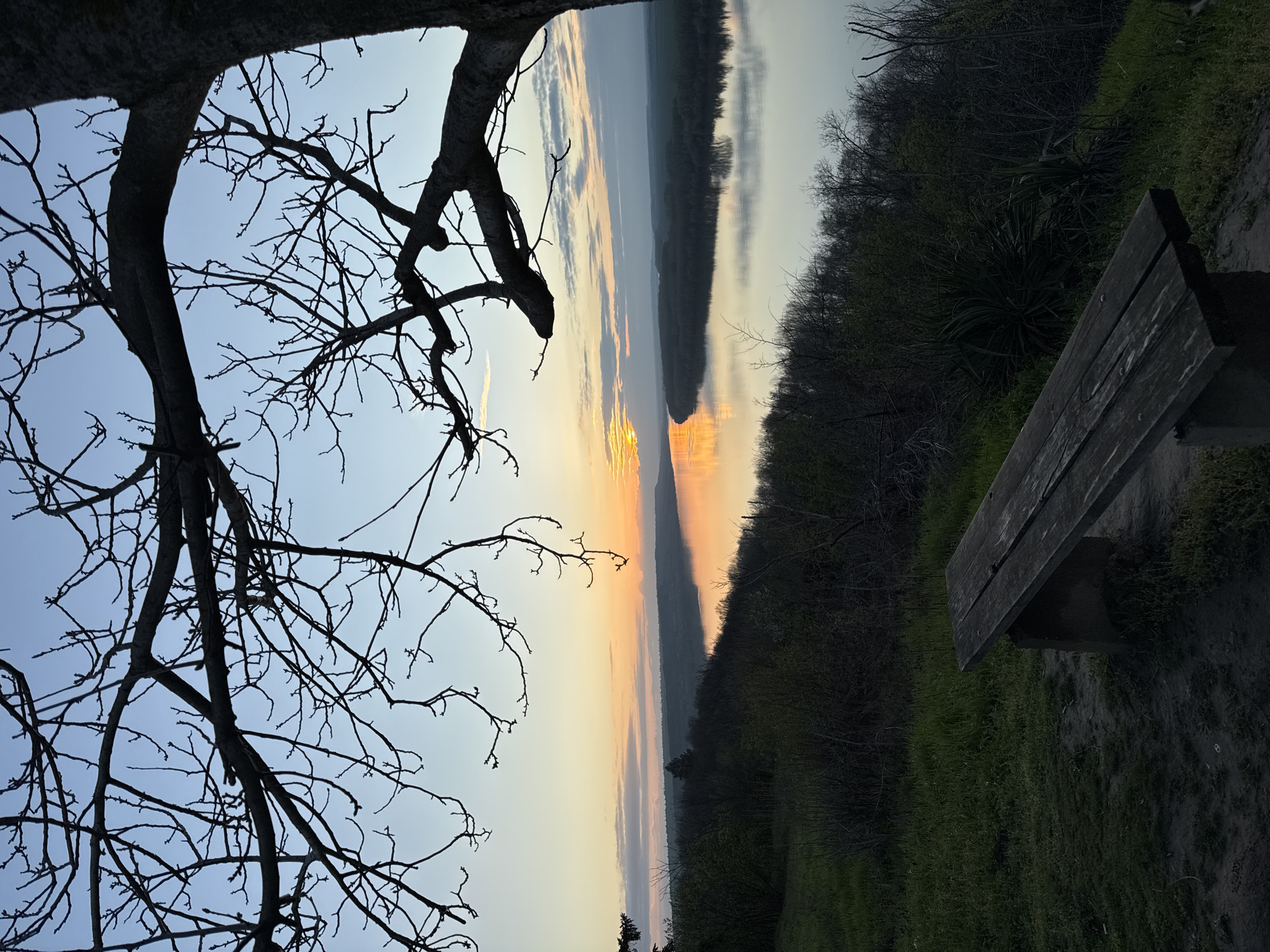 The image depicts a landscape at sunset, possibly near the city of Kozloduy, Bulgaria, based on similar scenery in that region. A bare tree branch is positioned in the foreground on the left side, silhouetted against the sky. The sky shows a gradient of blue to orange hues, indicating either sunrise or sunset. A body of water, likely a river, reflects the sky's colors. Vegetation, resembling bushes or trees, lines the bank on the right side. A wooden bench is placed on the grassy terrain on the right side, suggesting a viewpoint or rest stop. There are no people visible in the image.