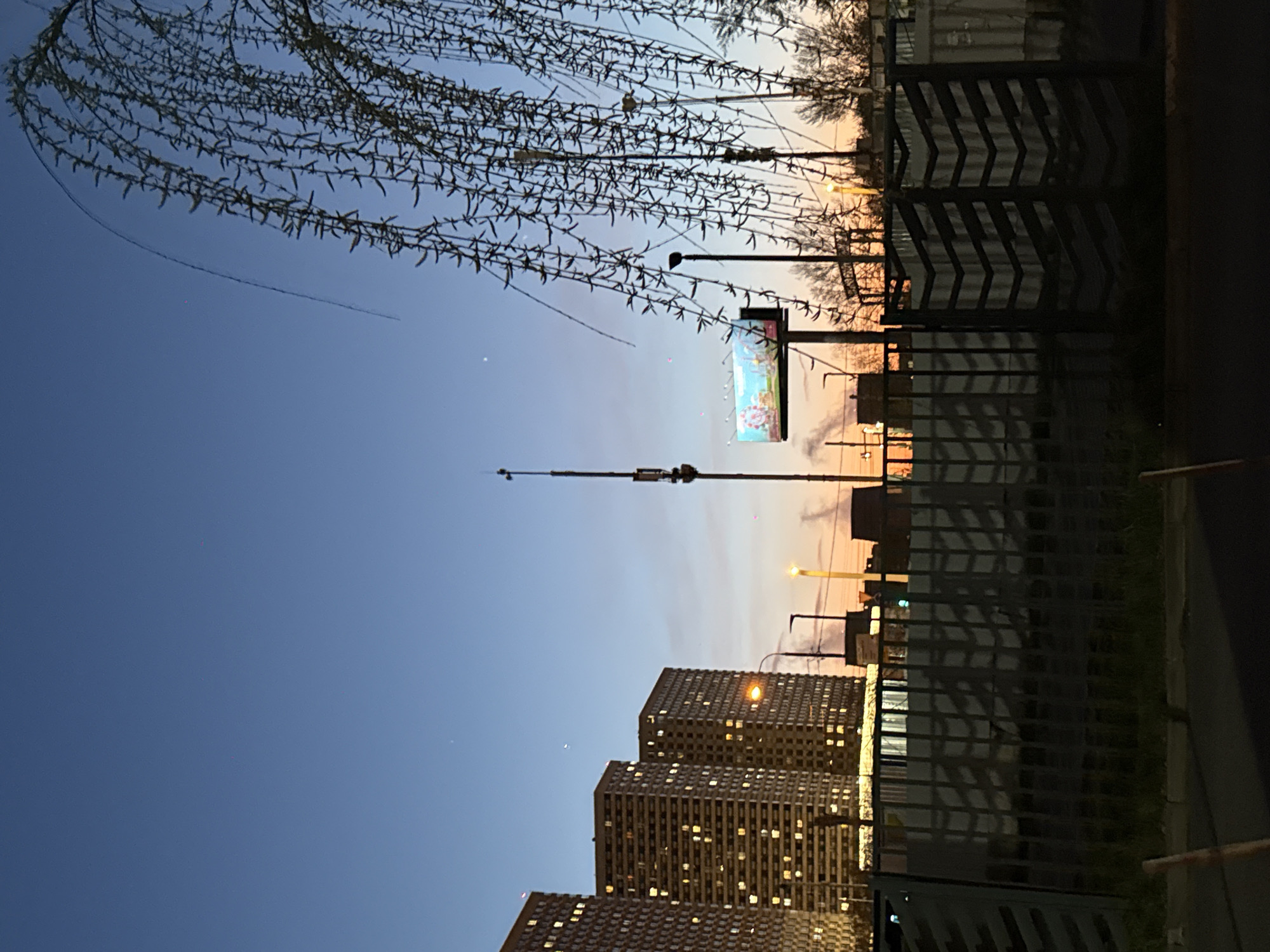 The image, appearing to be captured in portrait orientation and rotated 90 degrees, depicts an urban or suburban landscape at dusk or dawn. The sky, dominant in the upper portion, transitions from a deep blue at the top to warm hues of orange, pink, and yellow near the horizon, indicative of either sunrise or sunset. The weather is clear, with no clouds visible.
In the foreground, gracefully sweeping across the upper left and central areas, are bare tree branches, possibly a willow, adorned with numerous small, dark buds or leaves. Their intricate pattern creates a striking silhouette against the twilight sky.
Several tall, multi-story residential apartment buildings, with numerous illuminated windows, occupy the lower half of the scene. Artificial streetlights, emitting a warm yellow glow, are scattered throughout, further confirming the low light conditions. A brightly lit billboard, featuring what appears to be an animated or cartoon scene with indistinguishable text, stands prominently on a pole in the mid-ground.
To the right, dark metal fences or structures with distinctive chevron or diagonal patterns are visible, alongside simpler metal barriers and patches of green ground or grass. No people or overt activities are visible, lending a quiet, contemplative atmosphere to the urban twilight setting. Faint lines, possibly contrails, are discernible in the sky. The overall impression is one of peaceful urban transition between day and night.