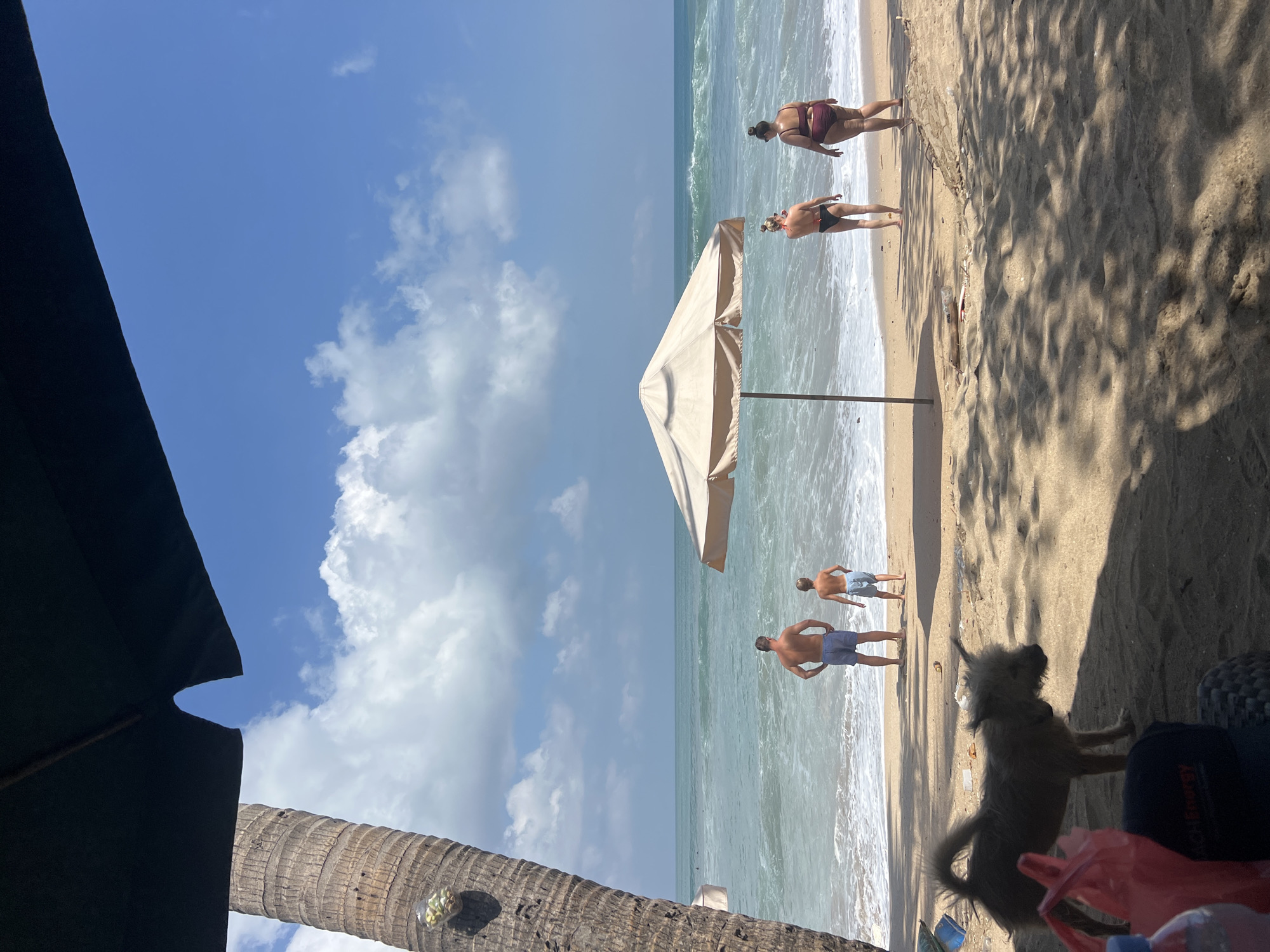 The image depicts a sunny day at a beach, likely in Kuta, Indonesia. The scene features several people enjoying the ocean and sand. In the foreground, a shaggy dog stands near a black bag and some red plastic bags. Further back, two men in swim trunks are standing on the wet sand, facing the water. A beach umbrella stands behind them, casting a shadow on the sand. Near the water's edge, two women in bikinis are walking along the beach. The ocean is a prominent feature, with waves gently rolling onto the shore under a bright blue sky with scattered clouds. The presence of palm trees and the general atmosphere suggest a tropical beach setting. The time of day appears to be mid-morning or early afternoon, given the bright sunlight and distinct shadows.