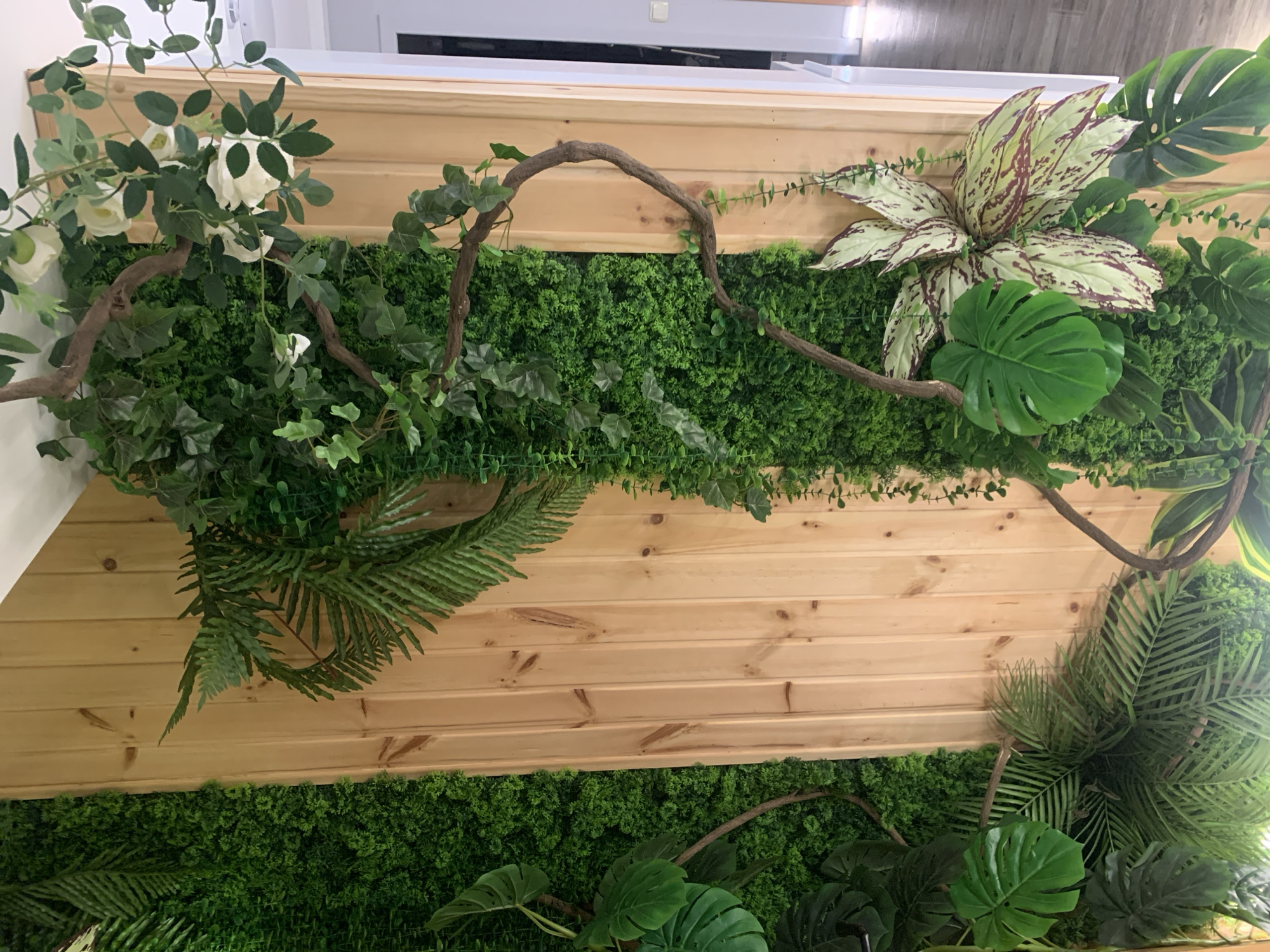 The image depicts a vertical garden wall installation in Almaty, Kazakhstan. The wall is constructed with wooden planks and covered with a dense arrangement of artificial plants. Prominently featured are various shades of green foliage, including ferns, monstera leaves, and smaller, moss-like greenery. Several branches, one appearing weathered and brown, weave through the plants, adding a naturalistic touch. Some white artificial flowers are also visible amidst the green. The garden wall is installed indoors, likely in a commercial or residential space, as indicated by a doorway with a light switch visible in the background. The flooring appears to be a light-colored wood or laminate. The lighting suggests an indoor environment, with light casting shadows on the wooden planks. There are no people or animals present in the image.