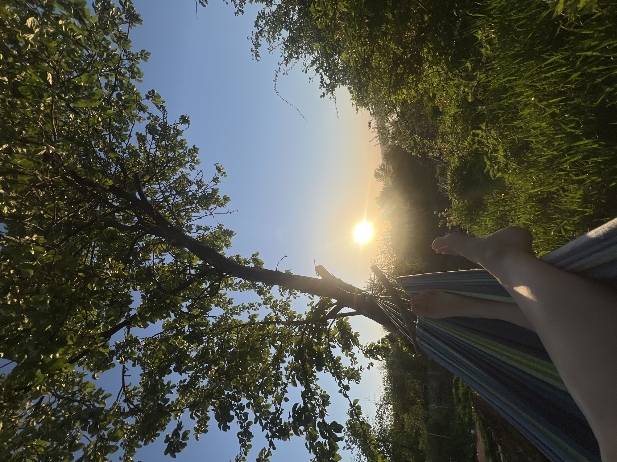 The image depicts a first-person view of someone lying in a hammock. Bare feet are visible in the foreground resting inside a striped hammock. Above, a tree with green leaves covers part of the sky. The sun is shining brightly in the center of the image, surrounded by green foliage. There is no evidence in the image to indicate the location is Chaikovsky, Russia.