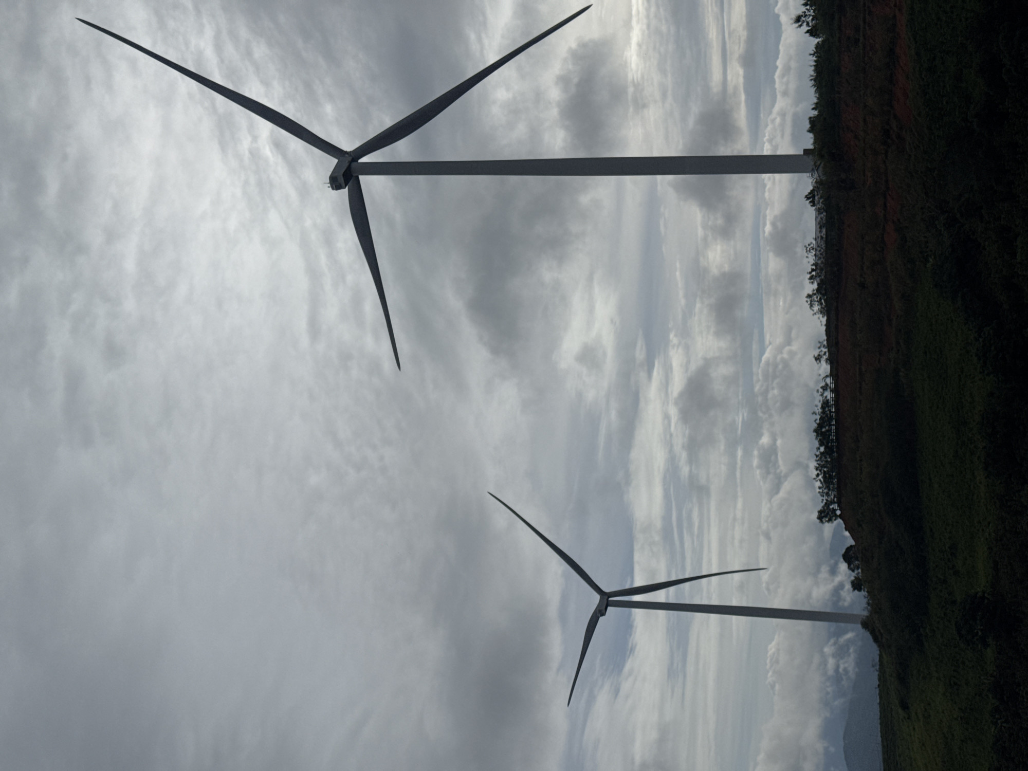 Two wind turbines stand against a cloudy sky, adjacent to a landscape of greenery and red soil. The location is inferred to be in the city of Trường Thọ, Vietnam.