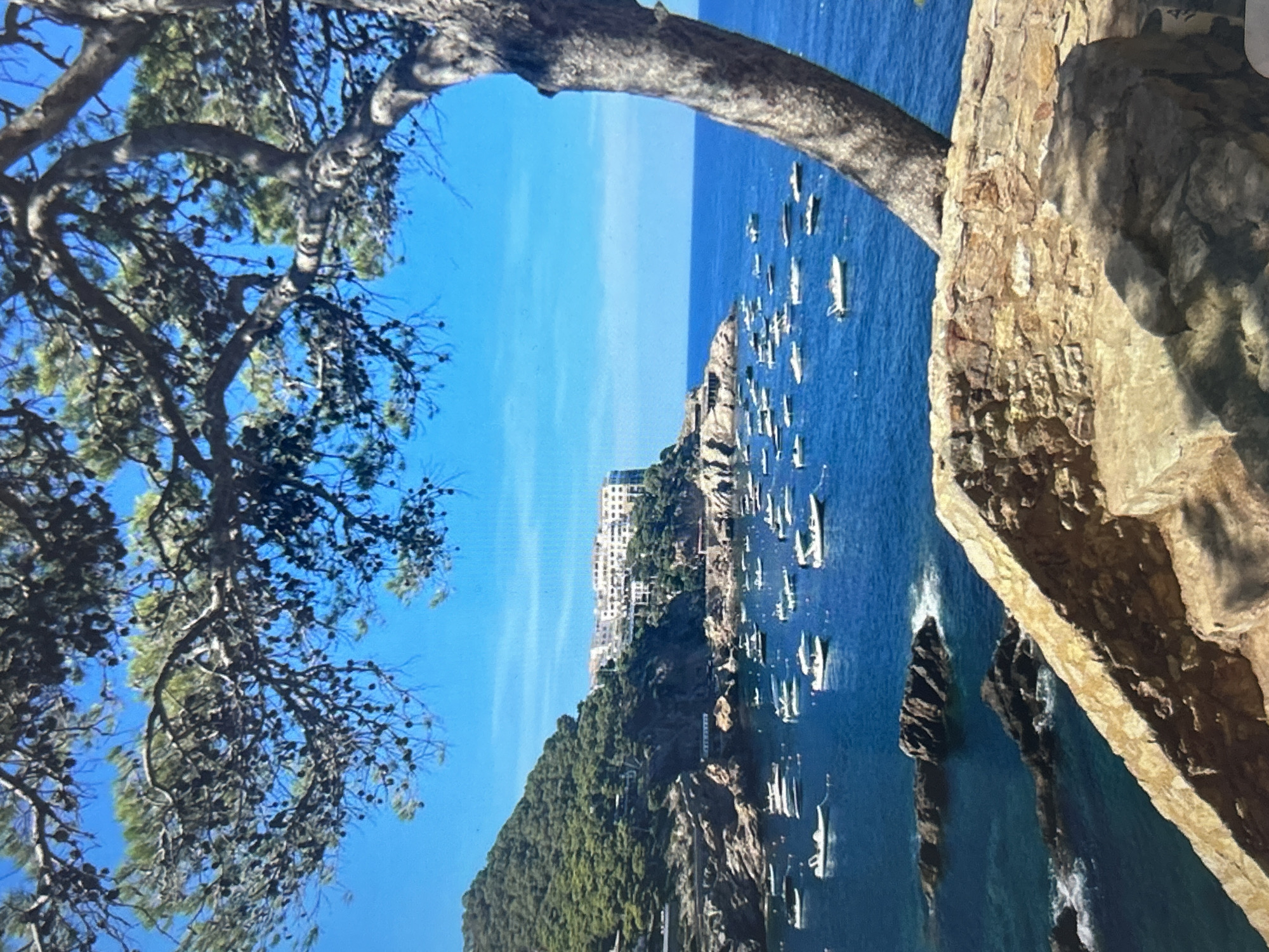 The image, rotated 90 degrees clockwise, presents a vibrant coastal landscape on a clear, sunny day. A prominent, gnarled tree trunk with branches, green foliage, and pinecones occupies the left side, partially framing the view. A textured rock face is visible on the right.
Beyond these foreground elements, a wide expanse of deep blue sea stretches under a lighter blue sky. Numerous white boats, likely leisure craft or yachts, are scattered across the water, suggesting an active bay or anchorage. A verdant, forested hillside forms the opposite coastline, featuring rugged cliffs and rocky outcrops. A collection of multi-story, light-colored buildings is nestled on this hillside, indicating a coastal town or resort overlooking the sea.
The bright daylight and calm waters suggest pleasant weather and a serene atmosphere. No discernible human figures or text are visible in the frame. The scene evokes a sense of tranquil natural beauty, possibly a Mediterranean coastline.