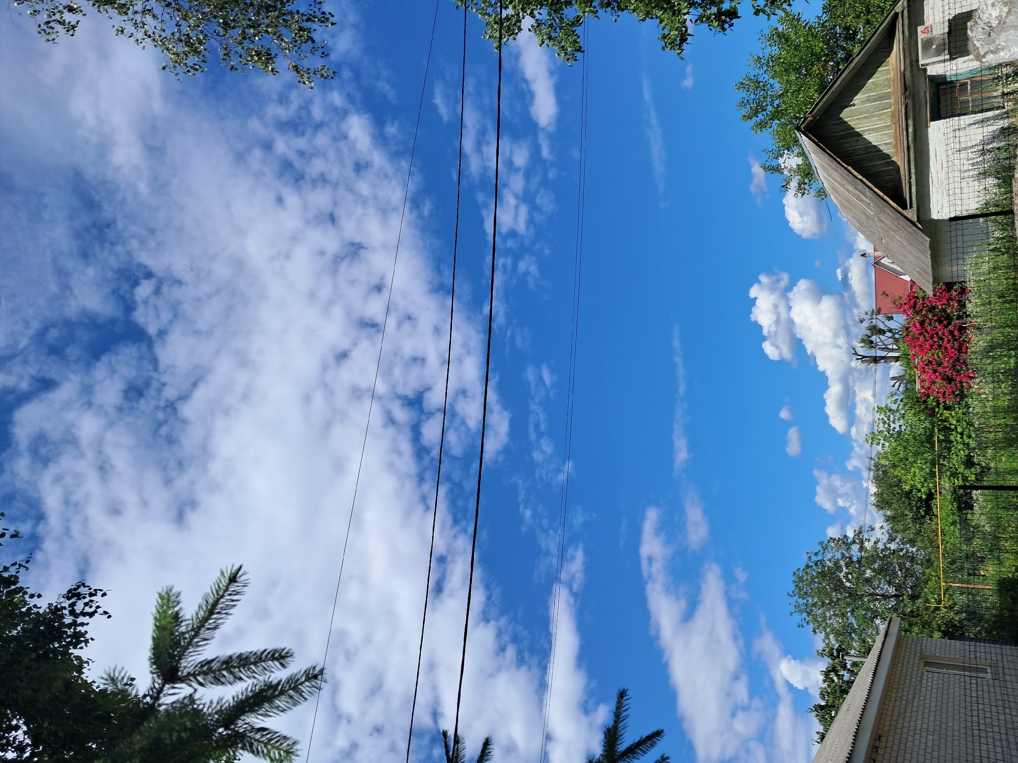 The image depicts a clear blue sky with scattered white clouds, as seen from a residential area in Kremenchuk, Ukraine. Several black electrical wires stretch horizontally across the frame. In the foreground, on the left, a portion of a light-colored brick house is visible, with its roofline extending to the left edge. On the right, a smaller, older house with a grey, corrugated roof and white walls stands behind a chain-link fence. This house has a green-painted wooden gable and an air conditioning unit mounted on the wall near a barred window. Dense green foliage and trees surround the houses, with a vibrant cluster of red-pink flowering bushes to the left of the second house. The overall scene suggests a sunny day in a suburban or rural setting.