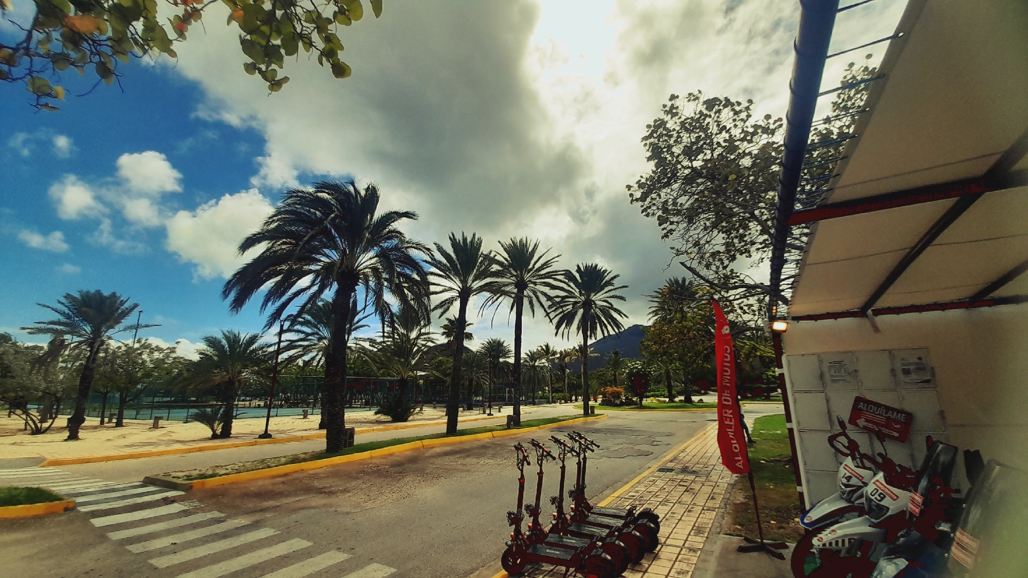 The media file depicts a scenic outdoor setting, likely in a tropical or subtropical location, given the abundance of palm trees. The scene is a road running alongside a sandy area with a body of water, possibly a beach or a canal, in the background. Several tall palm trees line the road, with lush green foliage and a bright blue sky with white clouds overhead, suggesting it is daytime.
In the foreground, a row of red electric scooters are parked along the sidewalk, suggesting a rental service is available. A red flag with white text stands next to the scooters. Behind the scooters, a structure with a light-colored awning and metal supports is visible, housing what appears to be a rental booth with signage. One sign, in red and white, reads "ALQUÍLAME," which translates to "Rent me" in Spanish. Another sign above a white panel has the text "ALQUILER DE MOTOS" meaning "Motorcycle rental." The presence of scooters and "motorcycle rental" signs indicates an activity of renting vehicles for leisure or transportation is taking place.
The road itself is paved, with yellow lines marking the edge and a pedestrian crossing with white stripes in the lower left quadrant of the image. The overall atmosphere appears pleasant and sunny, with a gentle breeze suggested by the movement of the palm fronds. The mountains in the distance add to the picturesque landscape of Pedro González, Venezuela. There are no people visible in the media file.