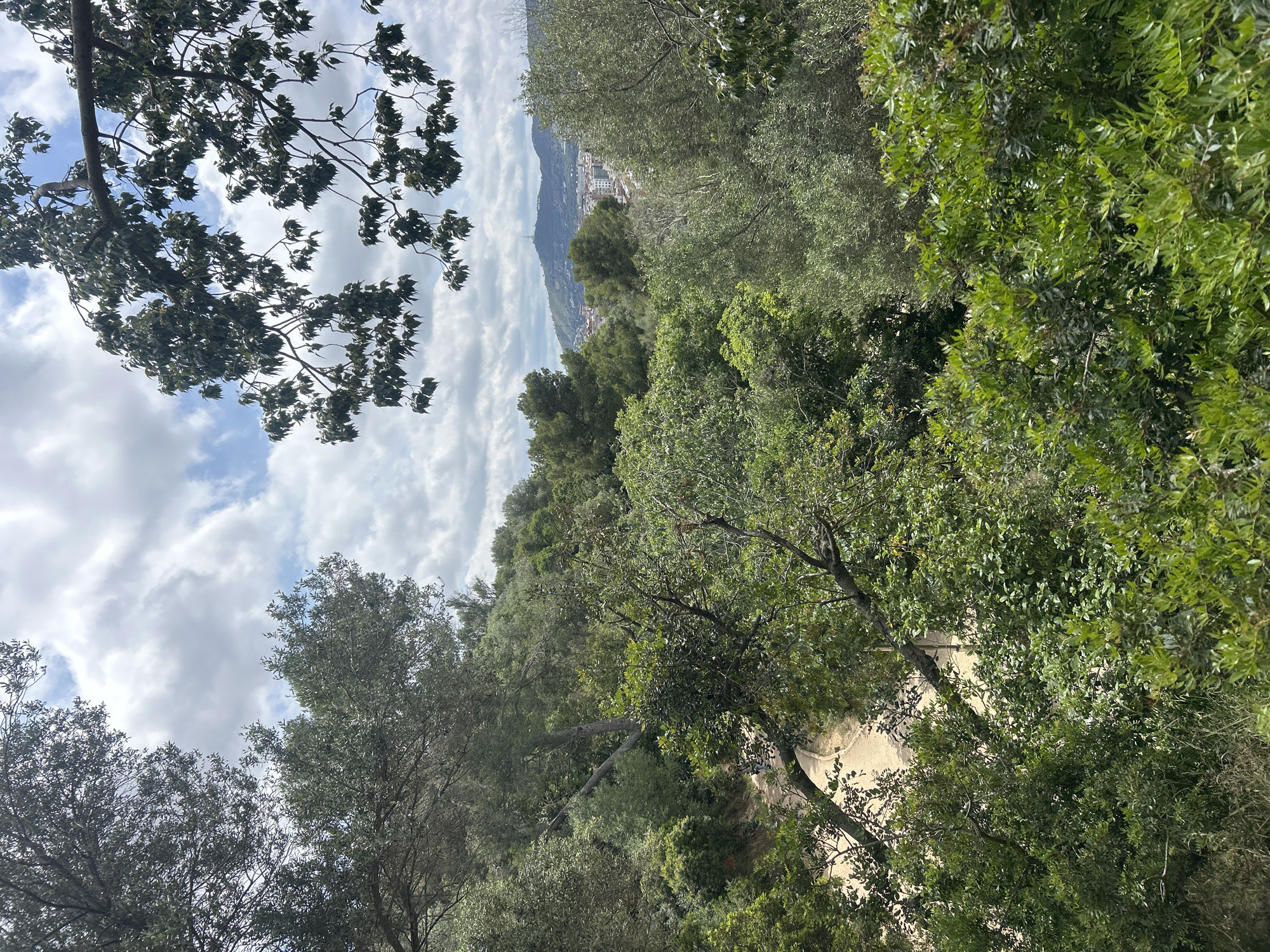 The image captures a view from a hillside in Barcelona, Spain, looking down through dense vegetation. A winding path is visible through the trees. In the distance, a city skyline is partially obscured by the foliage. The sky is cloudy. There are no people visible in the image. The dominant objects are trees and the path.