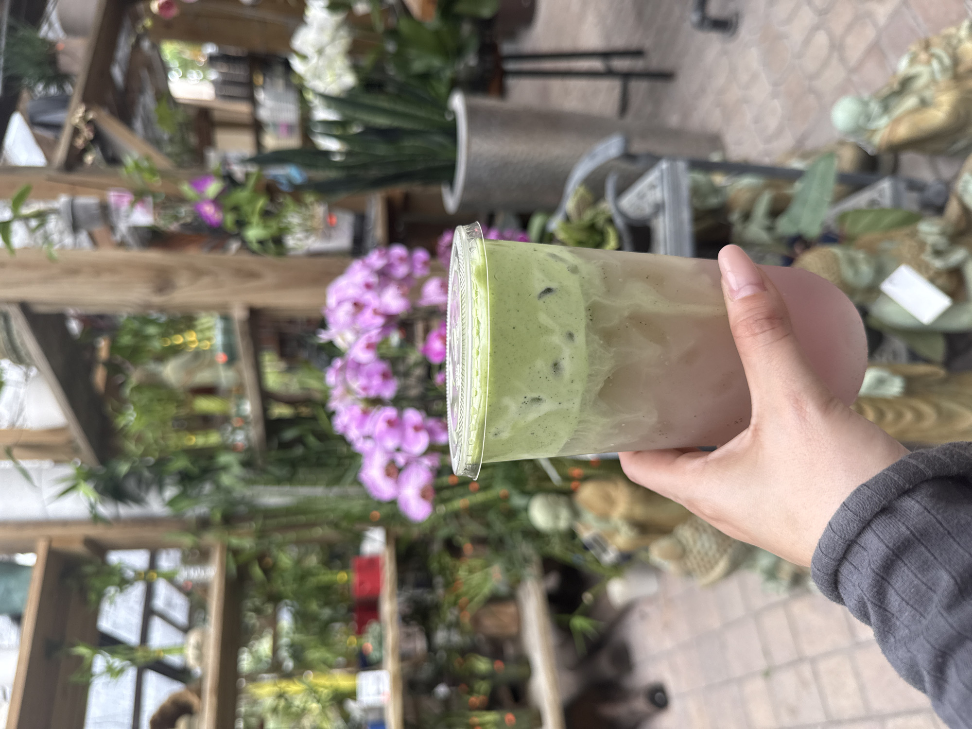 A hand holds a plastic cup containing a layered drink with a green matcha-like top layer and a light tan bottom layer. The setting appears to be an outdoor space, possibly a nursery or garden center in Davie, Florida, United States, evident from the flora and structural elements in the background. A wooden structure with plants on shelves is visible, along with purple orchids. The background is busy with various plants and pots.