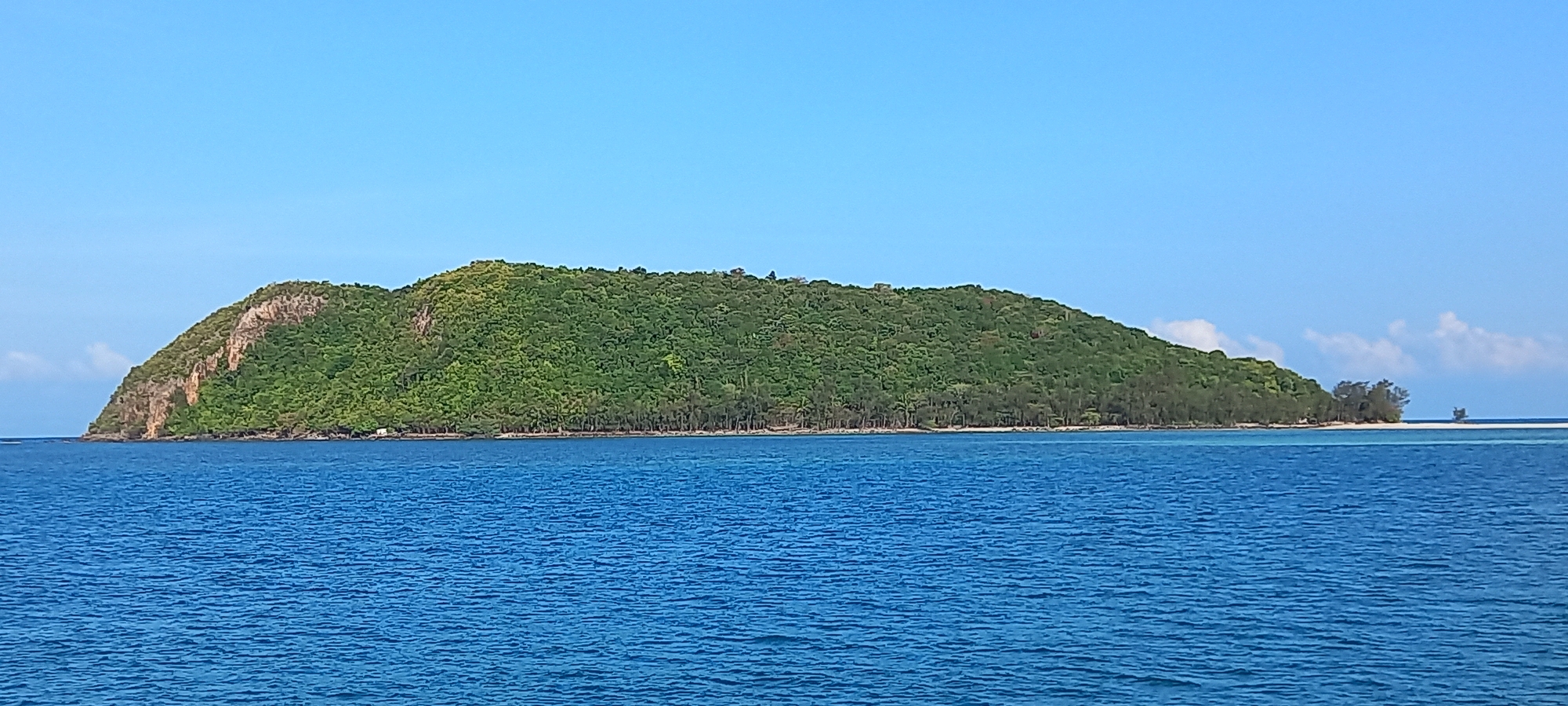 This wide-angle image presents a serene tropical landscape, likely near Thong Sala, Thailand, dominated by a lush green island seen from the clear blue sea. The island stretches across the mid-ground, featuring a varied topography: a prominent, rugged rock face is visible on the left side, transitioning into a gentle, densely forested slope that covers the majority of the landmass. The vibrant green foliage suggests a rich, tropical environment.
Along the island's base, a narrow strip of sandy beach is discernible, especially towards the right where it forms a small, light-colored sandbar extending into the water. Sparse trees, possibly palm-like and other coastal species, punctuate this sandy edge and the small sandbar. The foreground and a significant portion of the mid-ground are filled with calm, deep blue ocean water, showing gentle ripples on its surface.
Above the island and sea, the sky is a brilliant, clear blue with a few soft, white clouds gathered faintly on the far right horizon. The scene is bathed in bright daylight, indicating a sunny late morning or early afternoon. No people, boats, or man-made structures are visible, emphasizing the natural, untouched beauty of the island. There is no visible text in the image.