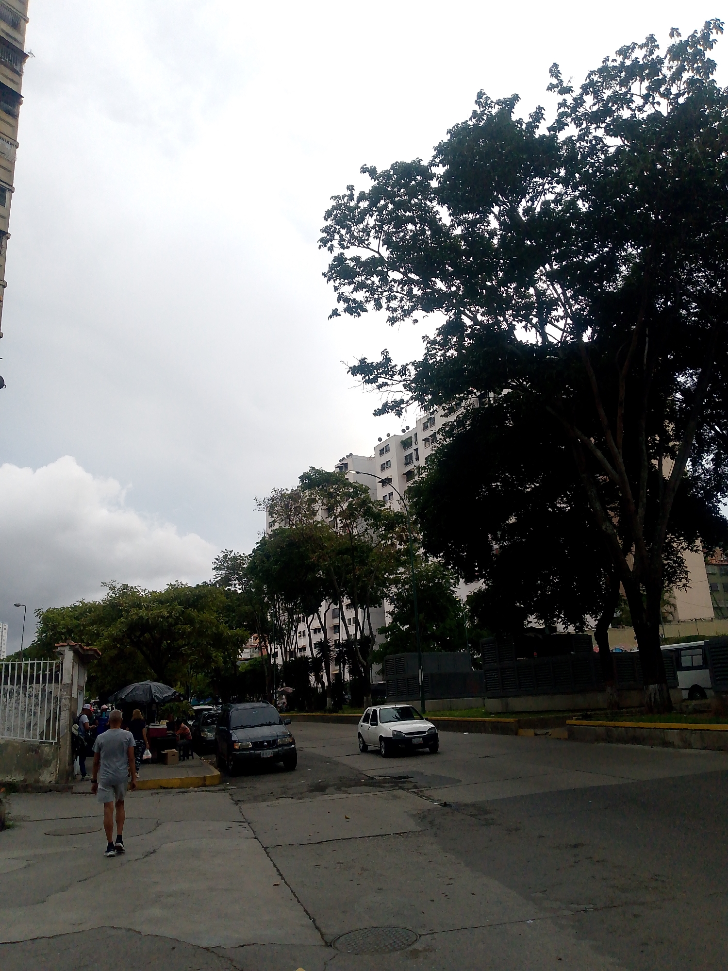 The image captures a street scene in Caracas, Venezuela, on a cloudy day. In the foreground, a man walks away from the camera on a paved sidewalk. He is wearing a light gray t-shirt and light gray shorts, with black and white sneakers. To his left, a white metal fence separates the sidewalk from a building with a red-tiled roof, partially obscured by trees.
Further down the sidewalk, a small informal market is set up under a dark umbrella. Several people are visible around the market stalls, engaged in activity. A dark-colored SUV is parked near the market. Across the street, a white car is parked on the right side of the road.
In the background, several multi-story buildings are visible, characteristic of urban architecture in Caracas. Lush green trees are scattered throughout the scene, some with dense foliage, and a very large, silhouetted tree dominates the right side of the frame, its branches reaching towards the overcast sky. The sky itself is filled with clouds, suggesting a potentially overcast or impending rain. The street appears to be asphalt, with visible painted lines and manhole covers. The overall impression is a typical urban environment in Caracas, with signs of local commerce and residential buildings.