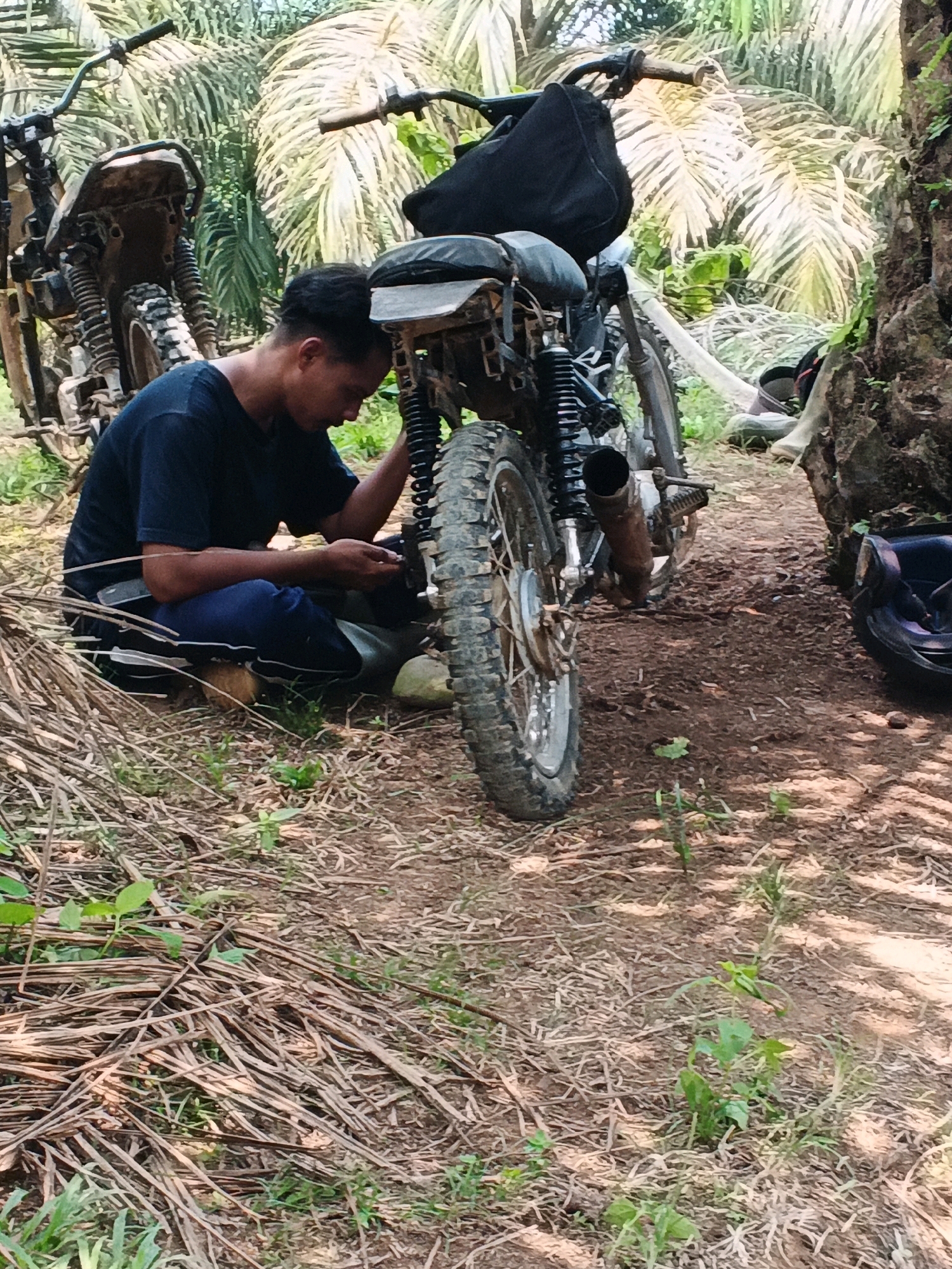 Memory