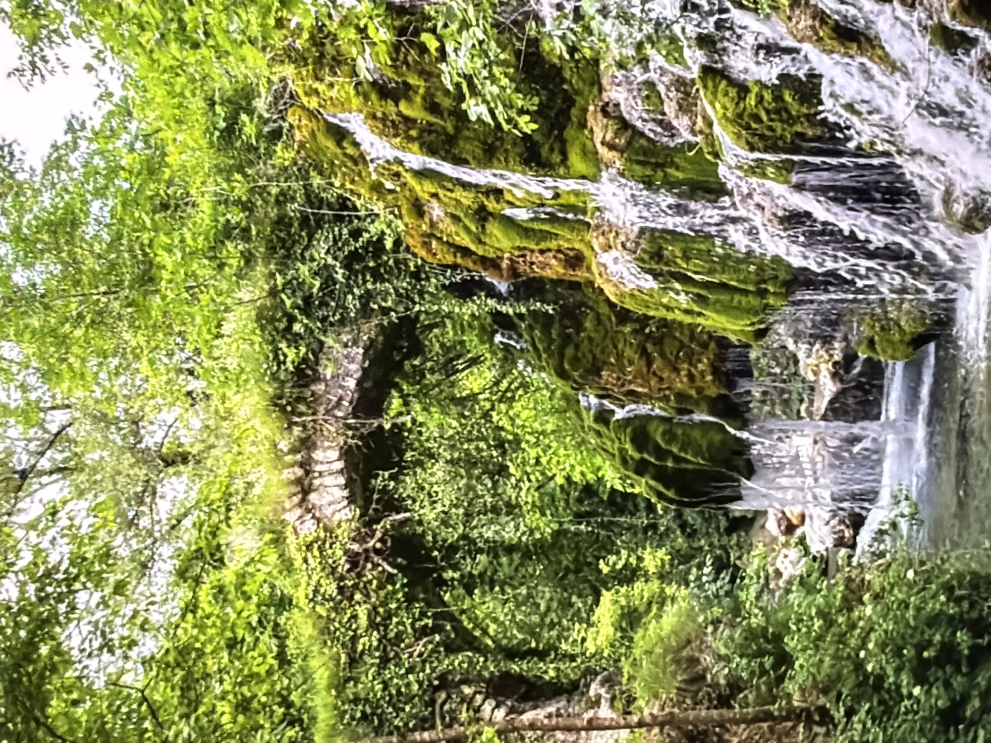 A vibrant natural landscape, likely located in Lovech, Bulgaria, is captured during the daytime. The scene is dominated by a multi-tiered waterfall cascading down the right side of the frame, with water appearing frothy white as it tumbles over rugged, moss-covered rocks. The rocks are heavily cloaked in thick green moss, indicating a damp and lush environment.
The entire image is enveloped in abundant green foliage, including dense trees and undergrowth, suggesting a thriving forest or natural park. Towards the middle-left of the image, partially obscured by the verdant canopy, a historic-looking stone arch bridge is visible. Its weathered appearance blends seamlessly with the natural surroundings.
The lighting indicates a clear day, highlighting the bright greens of the vegetation and the shimmering white of the water. There are no people visible, nor any discernible text. The overall atmosphere conveys a sense of serene natural beauty and tranquility.