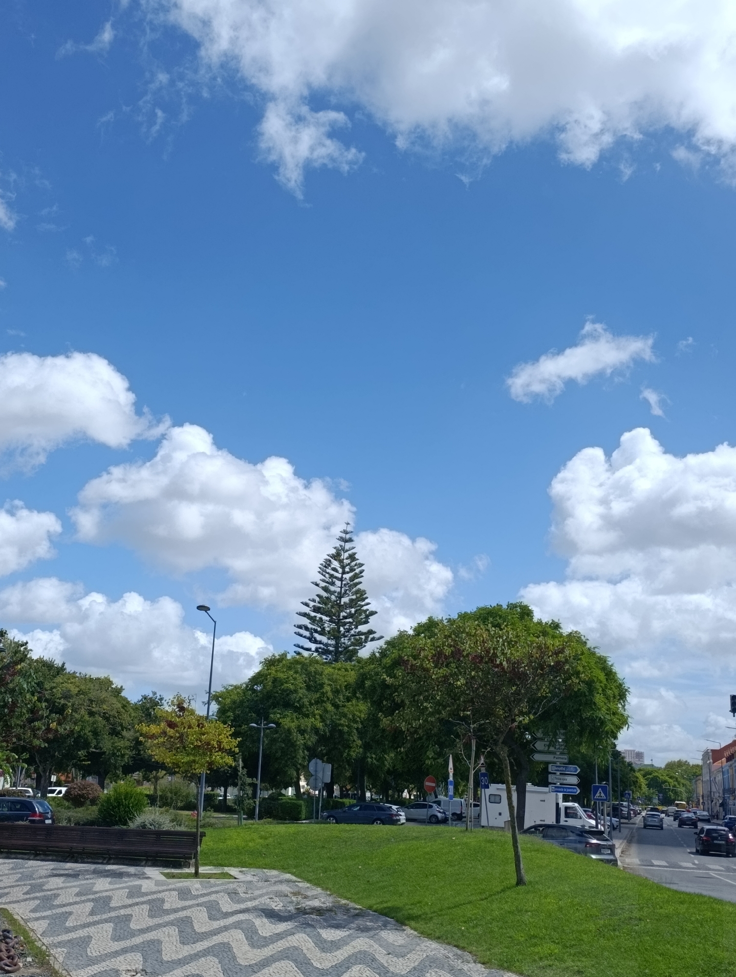 The image shows a street scene in Setúbal, Portugal, on a clear day with scattered clouds. In the foreground, a patterned mosaic walkway runs along a grassy area with a wooden bench. Beyond the grass, a street is lined with trees and parked cars. A tall, conical tree stands out amongst the other foliage. Buildings are visible in the background, suggesting an urban environment. The sky is a vibrant blue, filled with fluffy white clouds.