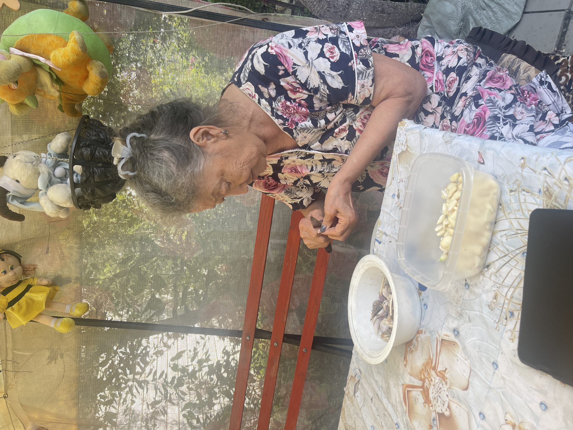 An elderly woman with gray hair is sitting at a table outdoors, preparing garlic. She is wearing a floral print blouse. In front of her on the table are two plastic containers, one with whole garlic bulbs and the other with peeled garlic cloves. A smartphone is also on the table. The background shows a red wooden bench and a translucent screen with some stuffed animals hanging above. The overall setting appears to be a backyard or patio area in Sibirskiy, Russia.