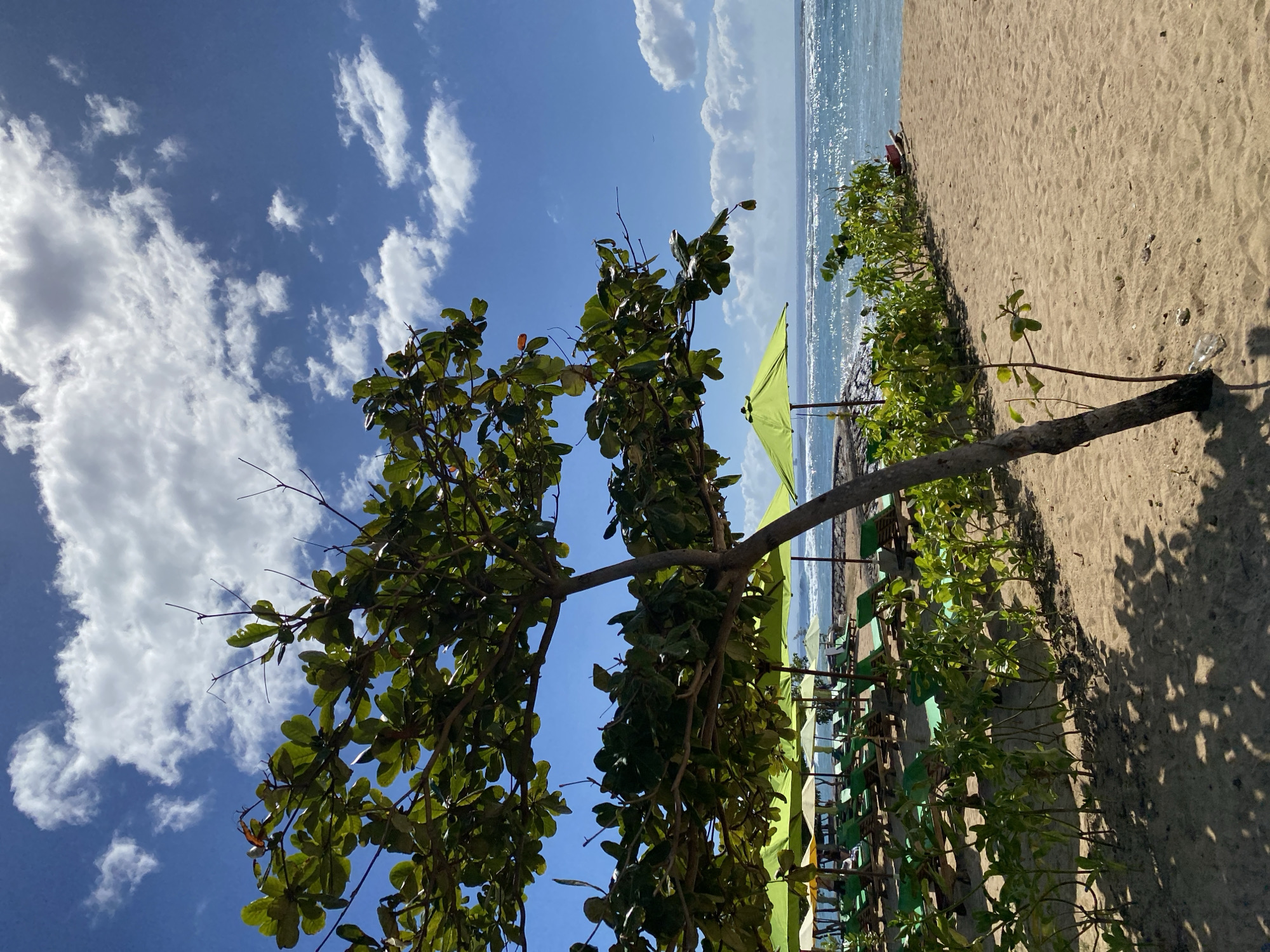 The image depicts a coastal scene in Kuta Selatan, Indonesia. The sky is blue with scattered white clouds. A tree with green foliage extends into the foreground, partially obscuring the view. The beach is sandy and lined with green umbrellas and lounge chairs. Beyond the beach is the ocean, reflecting sunlight. In the distance, individuals can be seen on the beach.