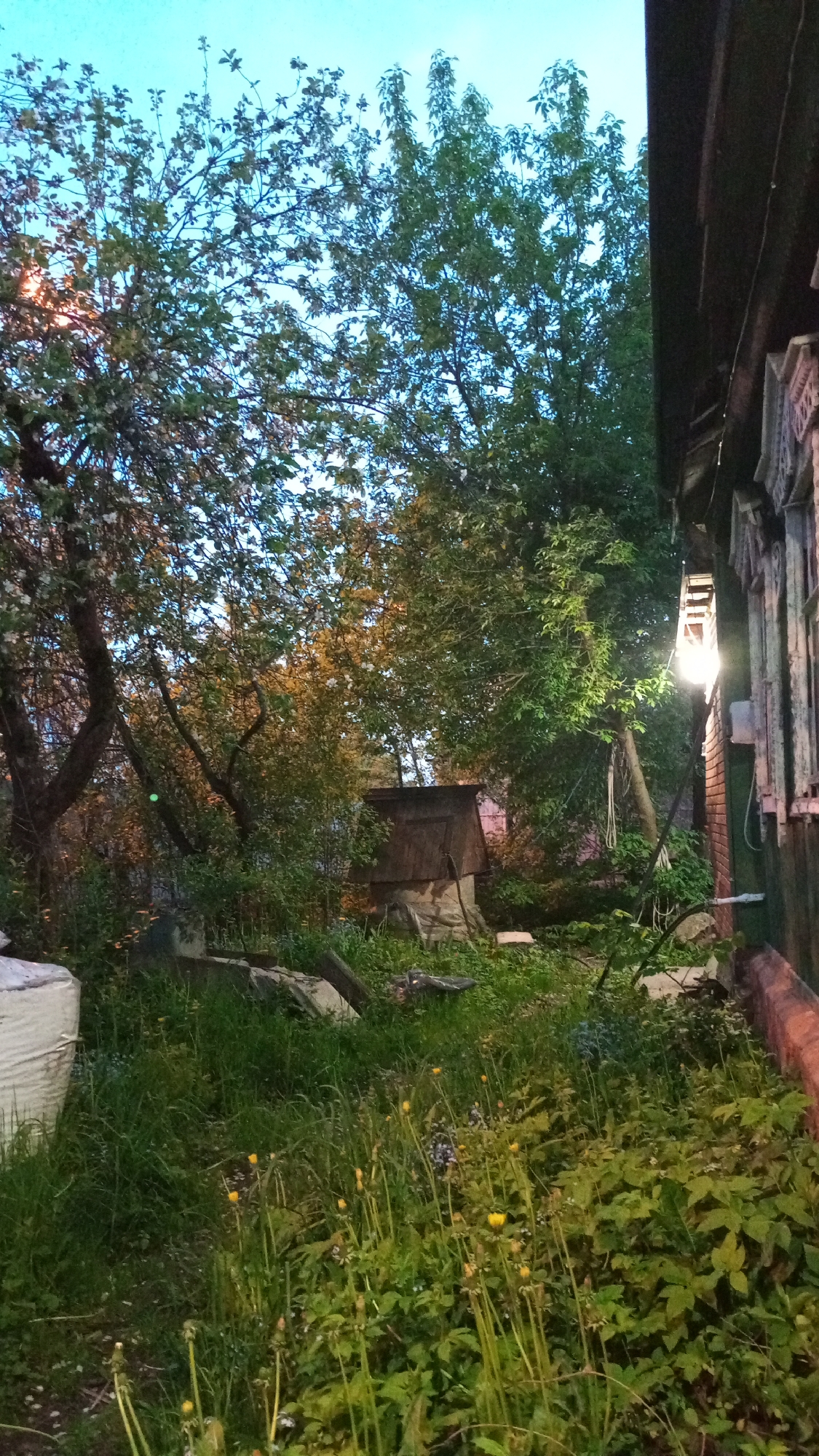 The image depicts a backyard scene, likely in Юдино, Russia, judging by the architectural style of the wooden building on the right. The backyard is overgrown with grass, dandelions, and various plants. Discarded concrete blocks or fragments are scattered around. In the background, a small wooden structure, possibly a well or outbuilding, is visible amidst trees. The sky is a mix of blue and dusk. A light fixture is mounted on the wooden building, casting a glow on the immediate surroundings.