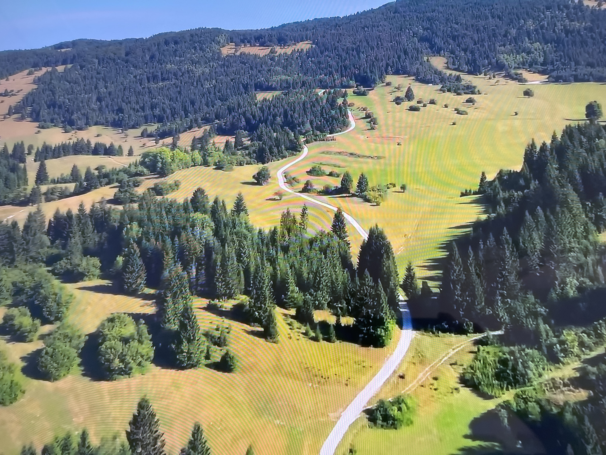 The image shows an aerial view of a rural landscape. A winding paved road cuts through grassy fields and forested areas. The fields are primarily green and yellow. The forests consist of dark green trees. In the background, a mountain range is visible, covered with dense forest. The scene appears to be devoid of people. The location cannot be determined from the image to be in Basingstoke and Deane, United Kingdom.
