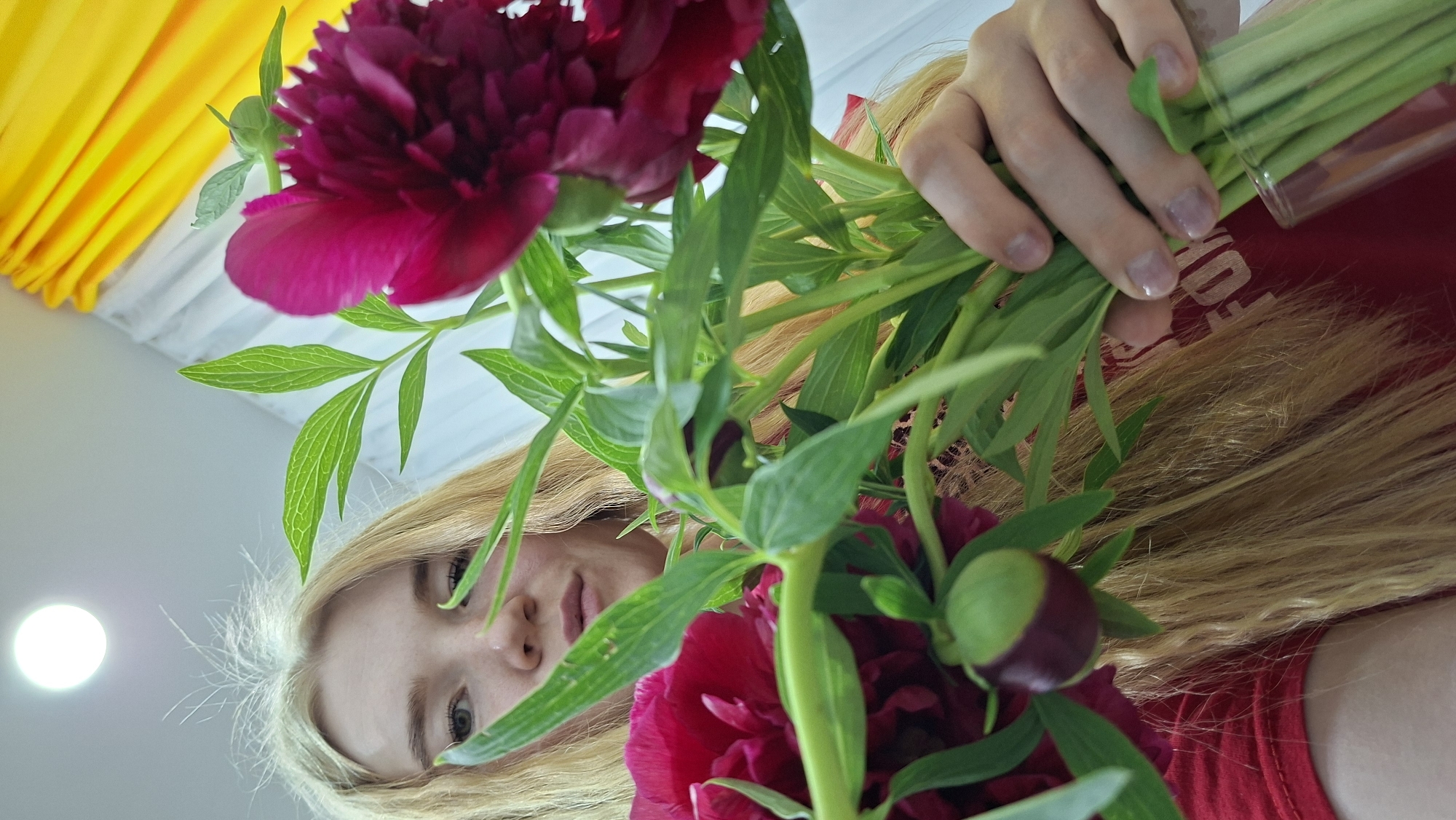 A low-angle shot captures a blonde woman from below, holding a vibrant bouquet of deep pink or magenta peonies. Her face is partially visible in the lower center of the frame, looking downwards with a neutral expression. Her long, light blonde hair is prominent, framing her face and flowing around her.
Her hands are positioned in the upper right, carefully holding the green stems of the peonies, which appear to be gathered into a clear glass vase or container. The bouquet features several large, open peony blooms, along with smaller buds and lush green leaves. The woman is wearing a red t-shirt, on which faint white text, partially discernible as "FOR", is visible on her right shoulder area.
In the upper left background, a bright yellow pleated fabric, possibly a curtain or decorative element, adds a vivid color contrast. A distinct circular light source, likely a ceiling light or reflection, is visible in the lower left background, casting a soft glow. The scene conveys a moment of floral arrangement or appreciation.