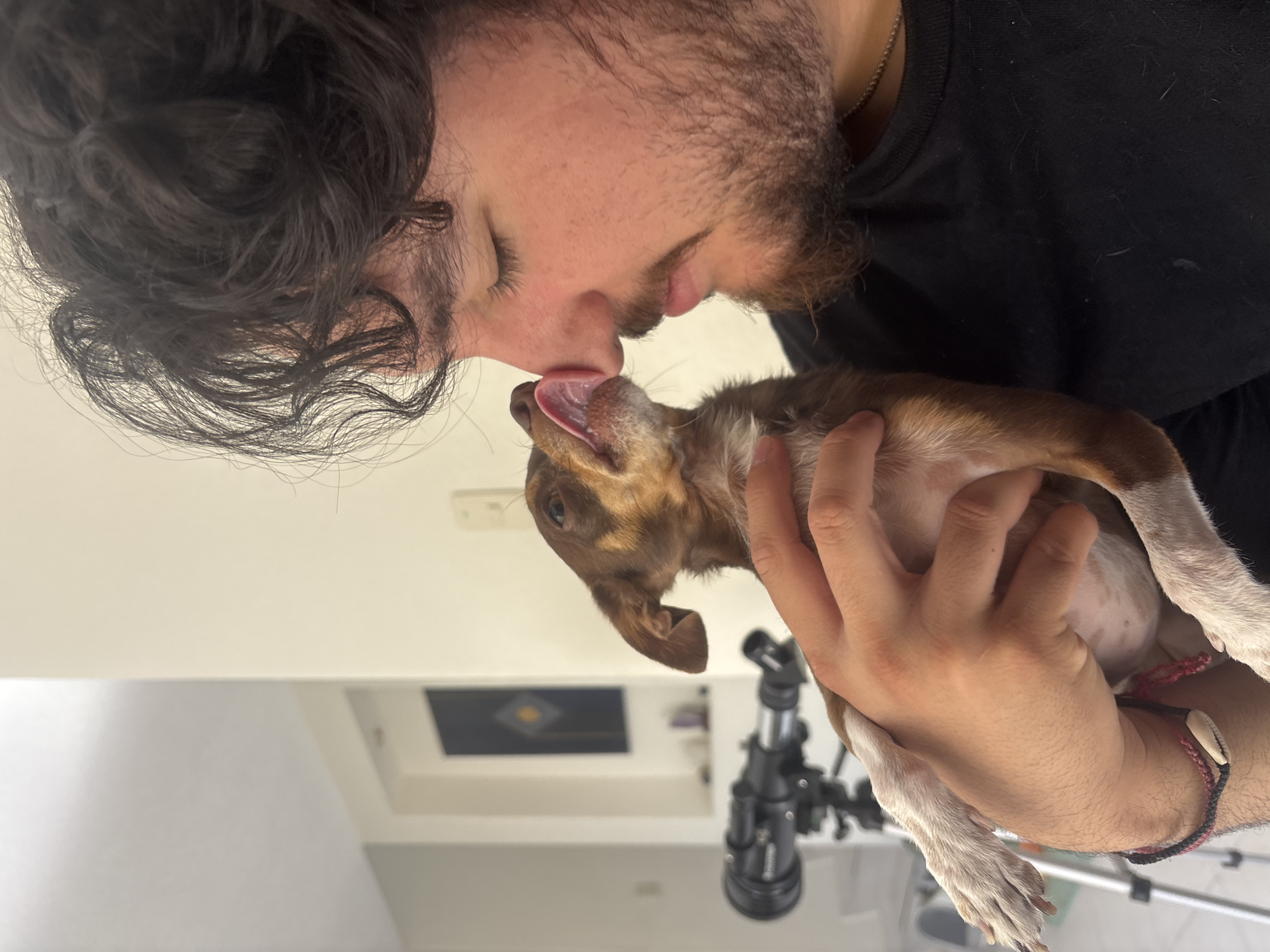 A man with dark, wavy hair and a beard is holding a small, brown and white dog. The man is nuzzling the dog with his nose and mouth. The dog is licking its lips. The man is wearing a black shirt and a bracelet with a shell on his wrist. In the background, there is a white wall and a telescope. The scene is indoors. The location is not possible to determine as the image does not provide enough information.