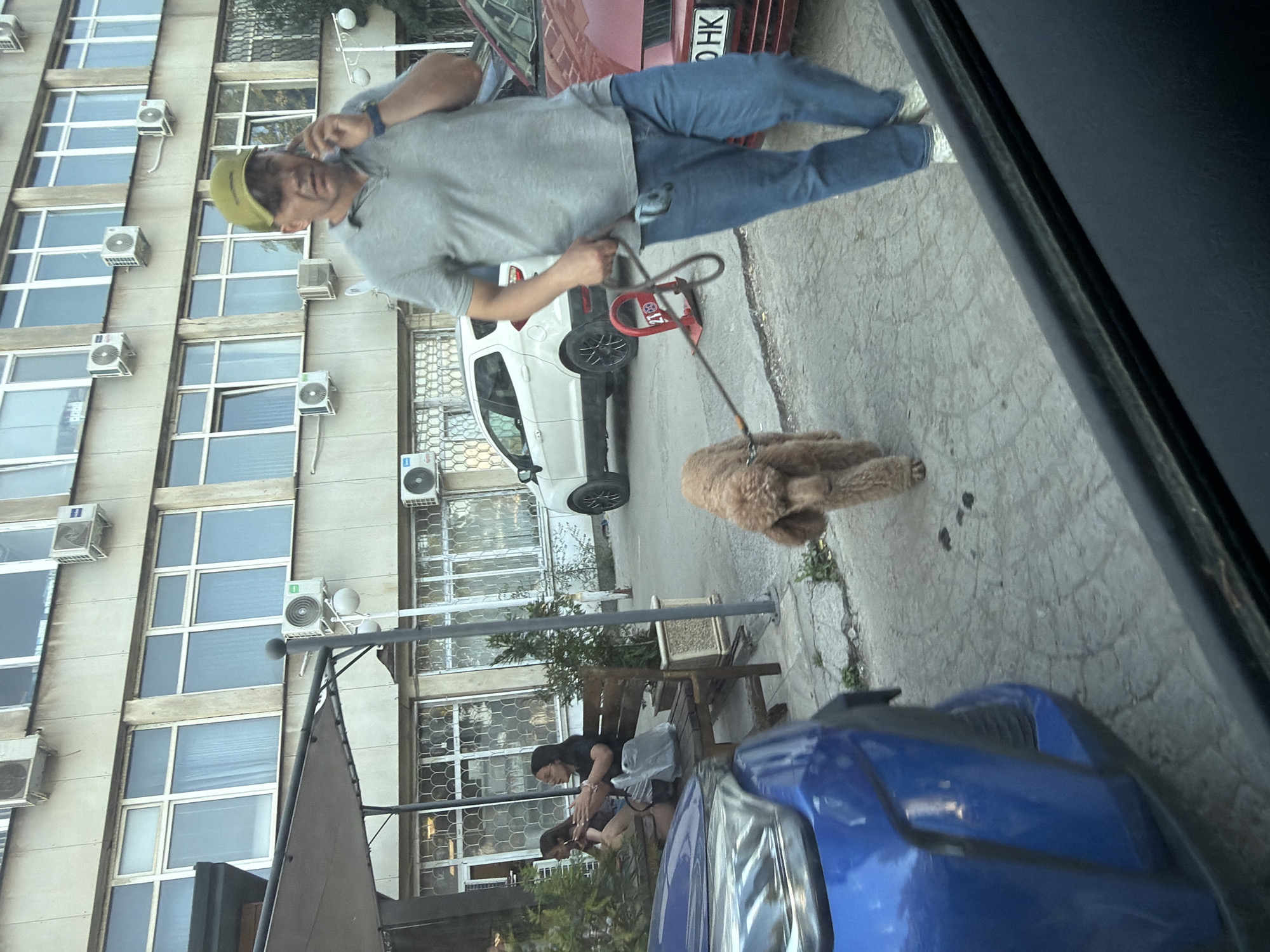 In a city environment, possibly Sofia, Bulgaria, a man wearing a light grey polo shirt, blue jeans, white sneakers, and a light green baseball cap is walking a small, fluffy brown dog on a leash. The dog appears to be a poodle mix. The man is holding his phone to his ear, engaged in a conversation. The scene unfolds on a paved area, with a portion of a blue car visible in the foreground. In the background, a light-colored building with multiple windows and air conditioning units suggests an urban setting. A red car is also parked nearby. Further back, two women are seated at a wooden bench, possibly at an outdoor cafe, with some greenery present. The overall impression is a casual urban street scene.