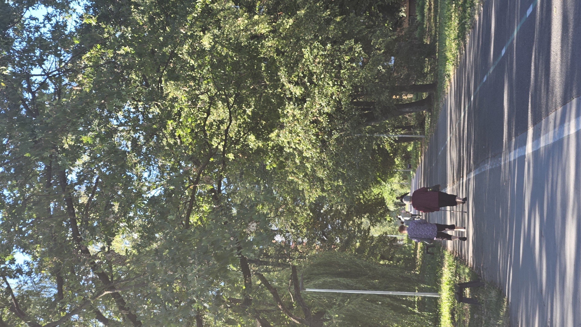 Two elderly individuals are walking away from the camera on a paved path lined with trees. The person on the left wears a purple patterned shirt and dark shorts. The person on the right wears a burgundy top and dark pants, and uses a walking stick. The path has a white line down the center and a thin green line on the right side. Benches are visible on the left side of the path. The environment appears to be a park or tree-lined street, with sunlight filtering through the dense green foliage of mature trees. The scene is set in the city of Prešov, Slovakia.