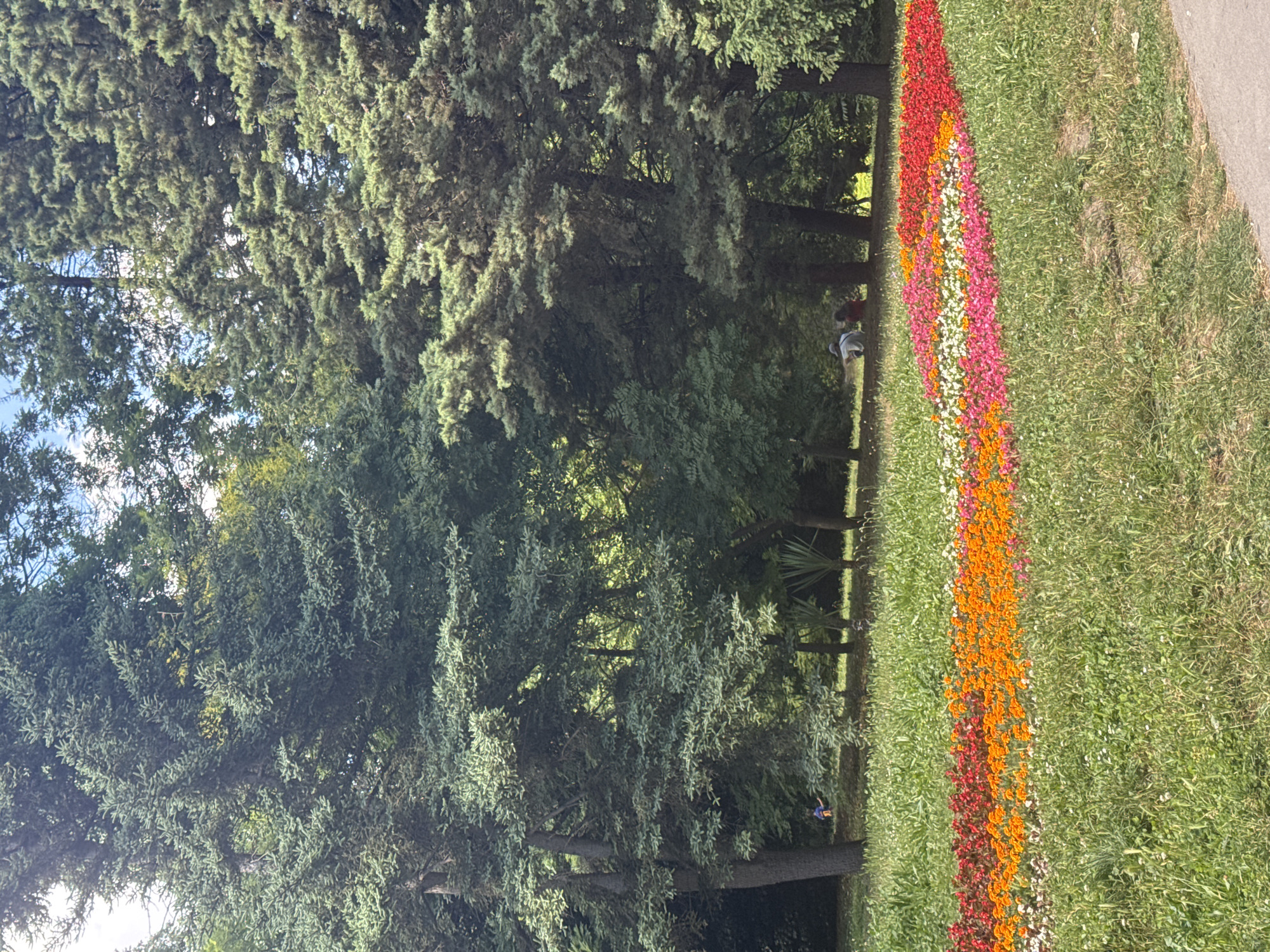 The image depicts a vibrant flowerbed in the foreground, arranged in colorful horizontal stripes of red, orange, yellow, white, and pink flowers. This flowerbed is situated on a grassy lawn. In the middle ground, several people are visible, some sitting on the grass and others standing. Behind them, a dense forest of trees, primarily conifers, creates a natural backdrop. The scene appears to be a public park or garden. The provided metadata indicates that this image was taken in Varna, Bulgaria, specifically at the Sea Garden (Morska Gradina).