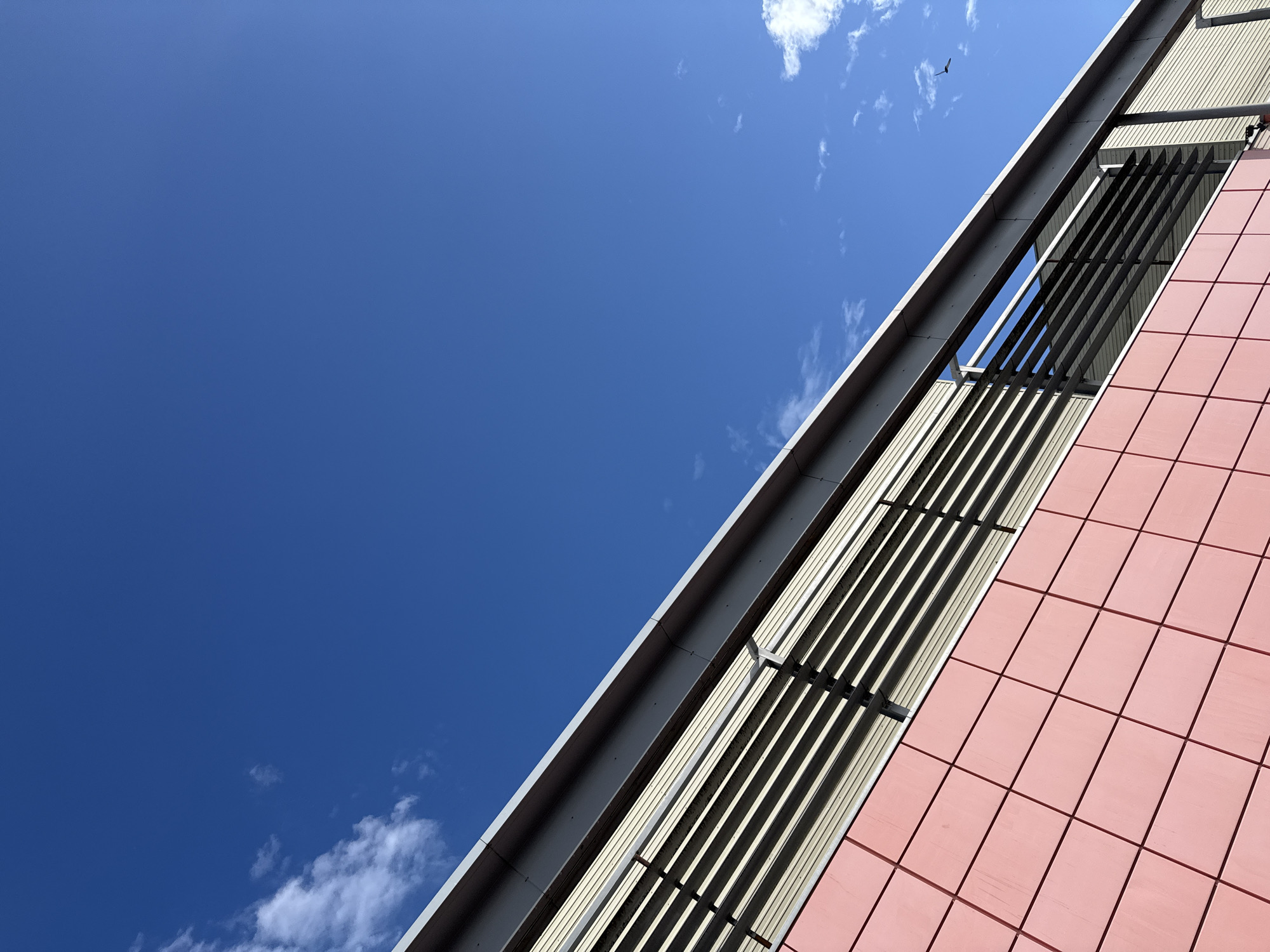 The image depicts a modern building with a pink tiled facade and horizontal louvered windows, set against a bright blue sky with sparse white clouds. The building's architecture features clean lines and metallic accents. A small bird is visible in flight against the sky on the right side of the frame. The perspective is upward-looking, emphasizing the building's structure and the expanse of the sky. The scene appears to be in an outdoor urban or suburban setting, and given the context of Bielany Wrocławskie, Poland, it is likely a commercial or institutional building.