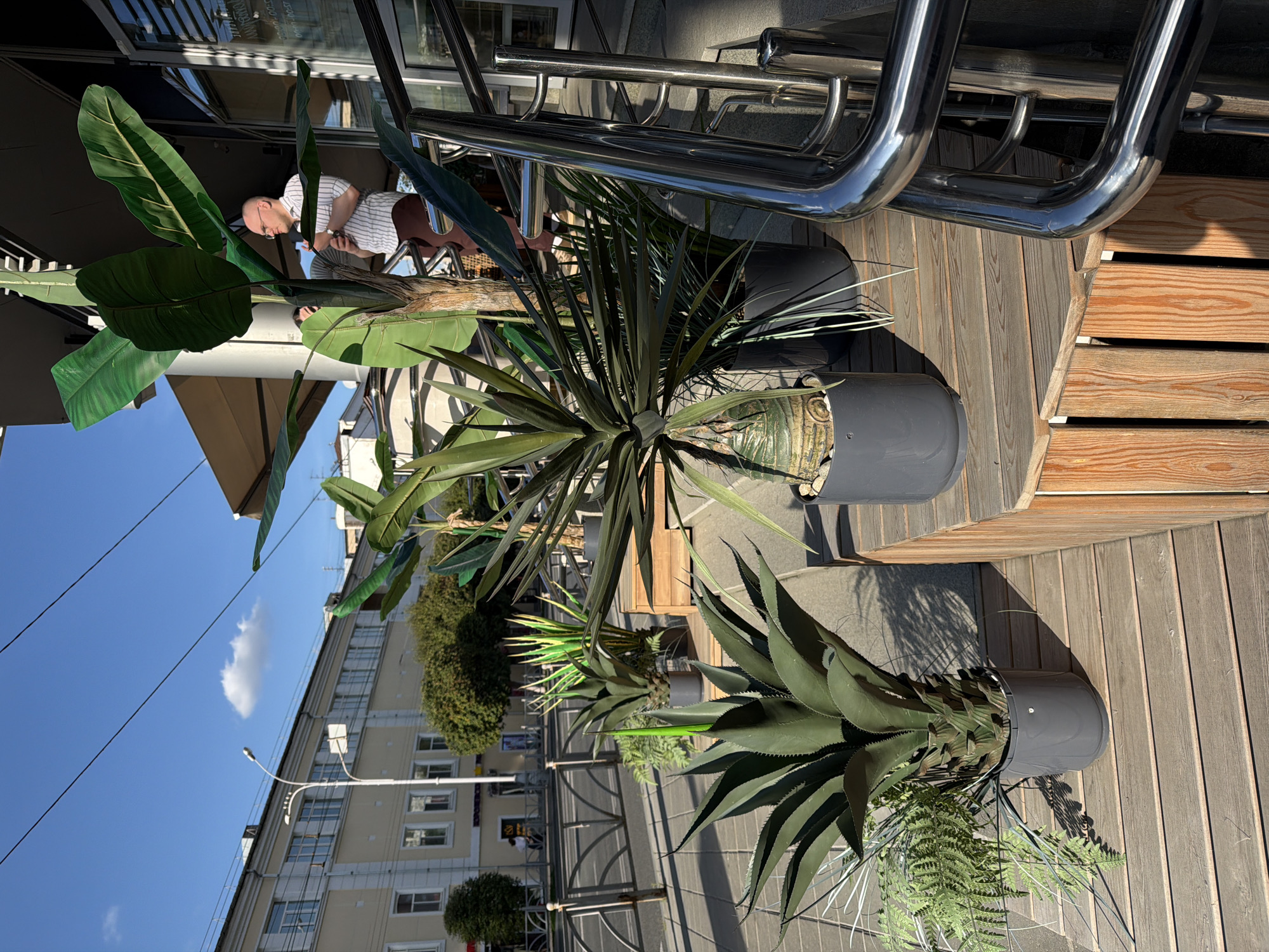 The image shows an outdoor seating area with several potted plants, including agave and banana plants, arranged on a wooden platform. A man in a striped shirt and brown pants is standing near a metal railing, holding a drink. In the background, there is a street with buildings, a sidewalk, and a fence. The scene appears to be in the city of Yekaterinburg, Russia, possibly at a cafe or restaurant, given the outdoor seating and plants. The sky is blue with a few clouds, suggesting a sunny day.