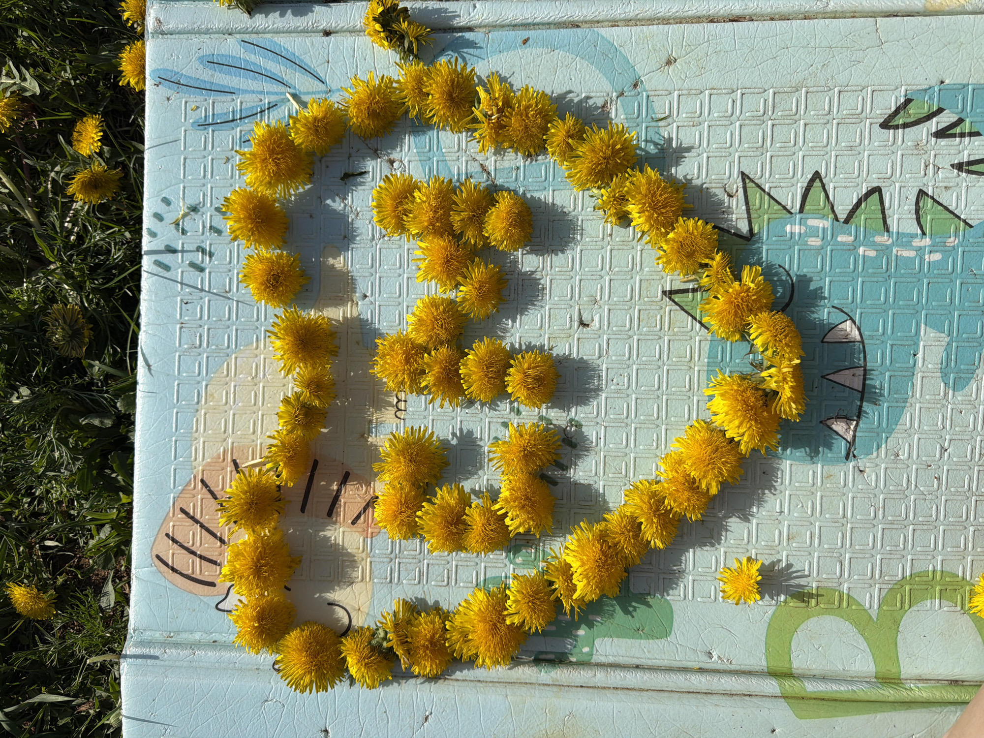 A top-down shot reveals a light blue mat featuring cartoonish illustrations, on which a figure of a letter "B" is formed by yellow dandelions. To the left of the mat, lush green grass is visible, with a few dandelions scattered within it. The mat's surface is textured, with small square patterns and various colorful shapes like dragons, cats and turtles. The scene is illuminated by sunlight, casting shadows of the dandelions on the mat. The context suggests a playful, outdoor setting. I don't have enough information to specifically provide the location in Chaikovsky, Russia.