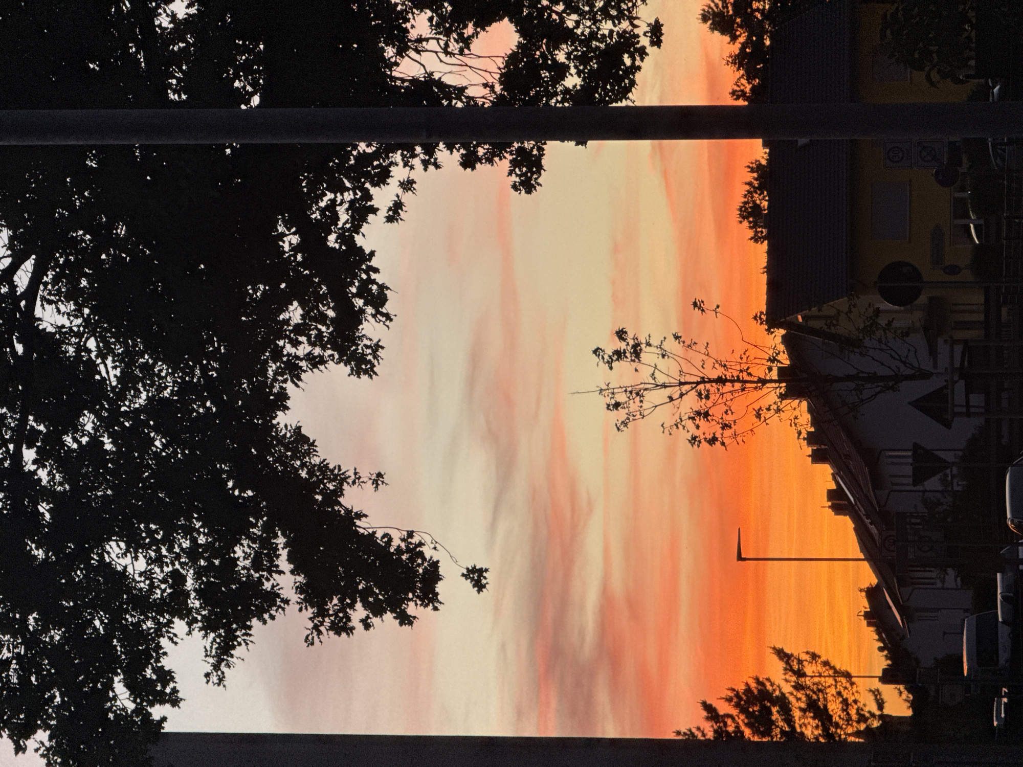 The image shows a vibrant sunset in Bruchköbel, Germany, framed by dark silhouettes of tree branches in the foreground. Two vertical structures (possibly street lamp posts or building supports) partially obscure the view. The sky is colored with shades of orange, yellow, and pink, indicating sunset. In the background, rooftops of houses and buildings are visible, adding a sense of urban environment. A street lamp is also discernible against the sky. A few vehicles are parked alongside the street.
