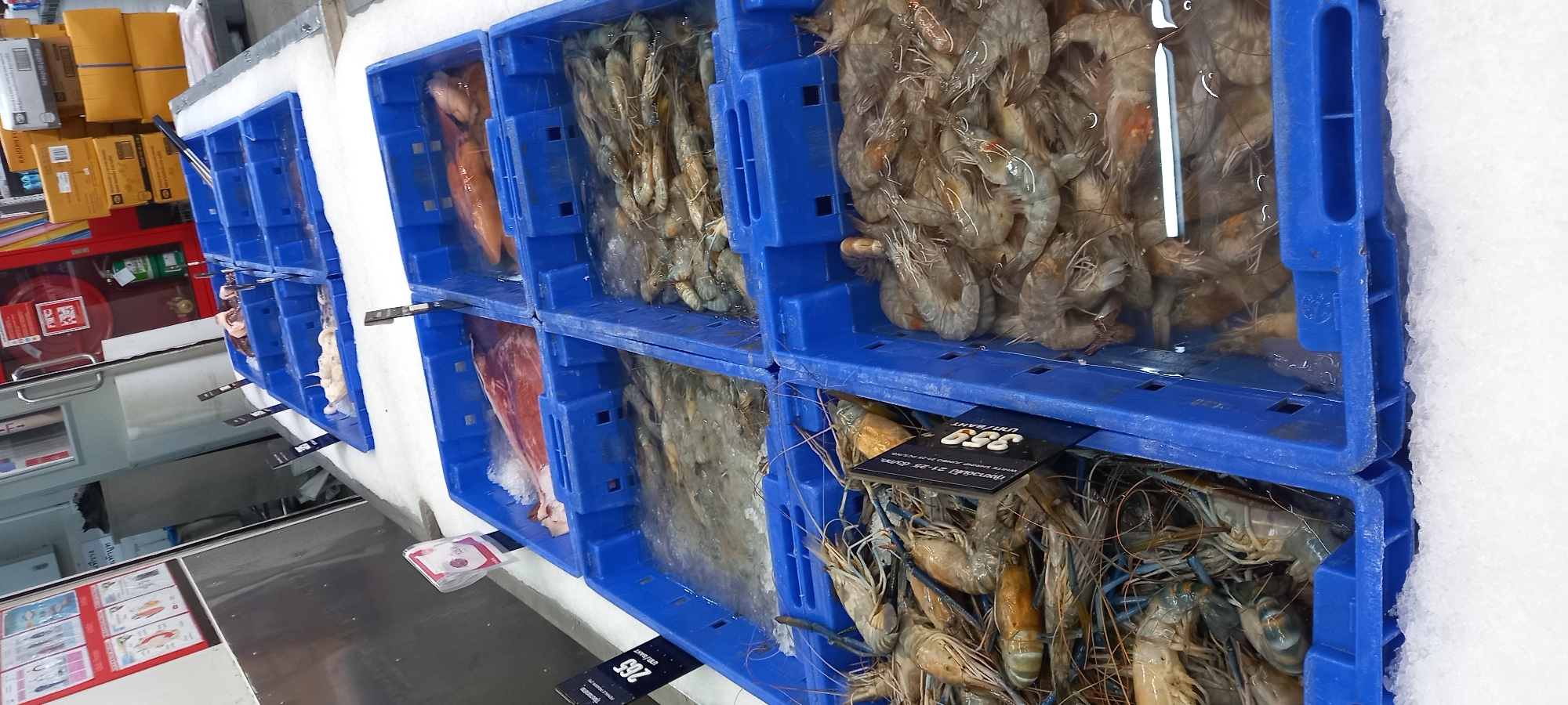 The image displays a fresh seafood counter within a supermarket or market, likely in Moo 1, Thailand, indicated by the visible Thai text on product labels. The primary subjects are various types of seafood, predominantly shrimp and prawns, displayed in multiple blue plastic crates.
The crates are stacked and filled with seafood, which is kept fresh on a bed of ice. The top row includes crates holding numerous light-colored shrimp, identified by a partially visible price tag as "WHITE SHRIMP JUMBO 21-25 pc/KG." priced at "359 UNT/BAHT." (กุ้งขาว). Other crates below contain different types of seafood, including what appears to be squid or a large fish, and another variety of prawns with darker bodies and prominent antennae. A price tag for these prawns shows "265 UNT/BAHT" (possibly for กุ้งก้ามกราม, or Giant River Prawns). Many of the crates are covered with clear plastic sheets to maintain freshness.
The background reveals typical market or storage elements: metal shelving, stacked yellow and white cardboard boxes (one with "KALDIITO" visible), and a red cabinet containing a fire extinguisher. The scene depicts the activity of displaying fresh seafood for sale in a well-lit, indoor commercial setting. No people are visible.