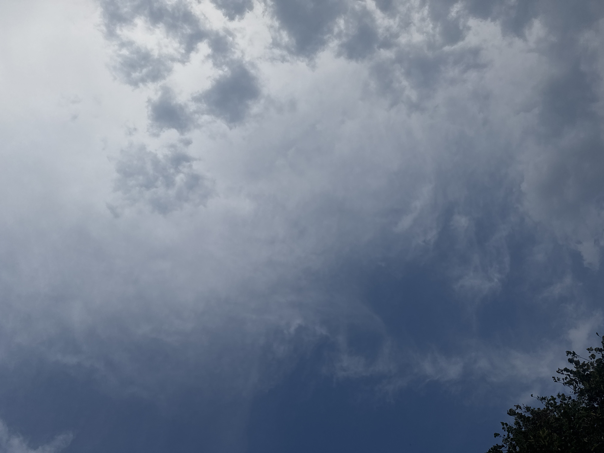 The image shows a view of the sky with clouds and the tops of trees in the lower left corner. The sky is a gradient of blue and white, with some areas of darker grey clouds. The clouds appear to be scattered and somewhat wispy in some areas, while more dense and textured in others. The trees are dark green and appear to be leafy. The scene is captured from a ground-level perspective, looking upwards. The location is identified as Chiasso, Switzerland.