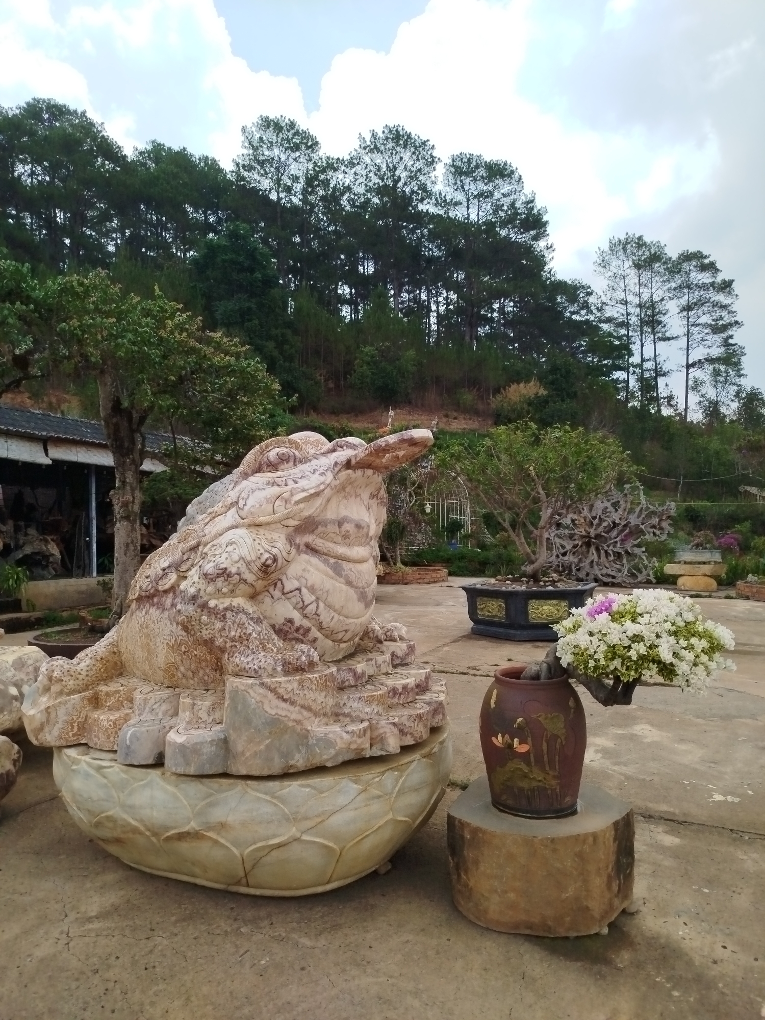 The image shows a garden in Hiep Thanh, Vietnam. A large stone sculpture of a toad is the prominent feature. Behind the toad are trees, some of which appear to be bonsai. A building with a dark roof is partially visible in the background, to the left. A brown vase containing a flowering bonsai rests on a round stone plinth to the right of the toad sculpture. The garden area is paved with cracked concrete. Further back, a hillside covered with trees forms the backdrop. The sky is overcast.