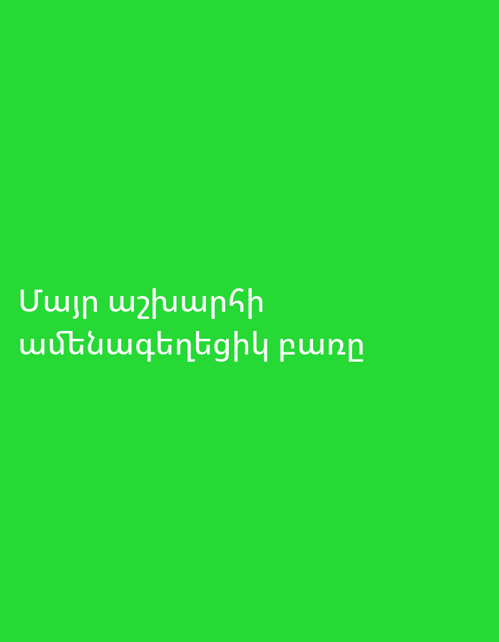The image displays white Armenian text on a bright green background. The text appears to be a phrase or sentence. The first line reads "Մայր Աշխարհի" and the second line reads "ամենագեղեցիկ քաղաք".