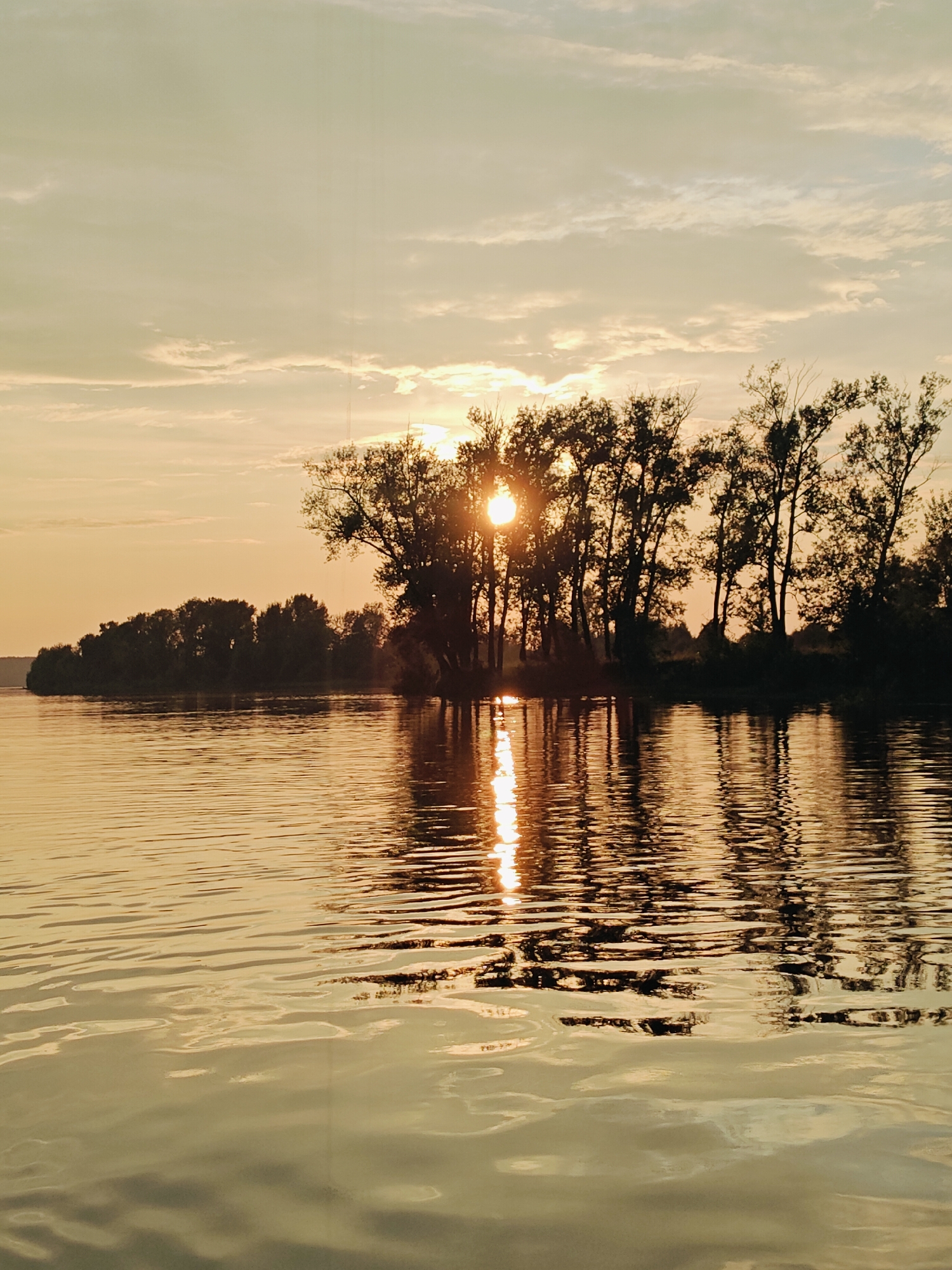 This image captures a serene sunset over the Volga River in Ol'khovskoye, Russia. The sky is a soft gradient of orange and yellow, with wispy clouds illuminated by the setting sun. Silhouetted trees line the distant bank, their branches stark against the warm glow. The sun's reflection creates a shimmering path across the rippling water, casting a golden hue on the surface. The water itself is calm, with gentle waves reflecting the colors of the sky and trees. There are no people or man-made objects visible in the scene, creating a sense of untouched natural beauty.