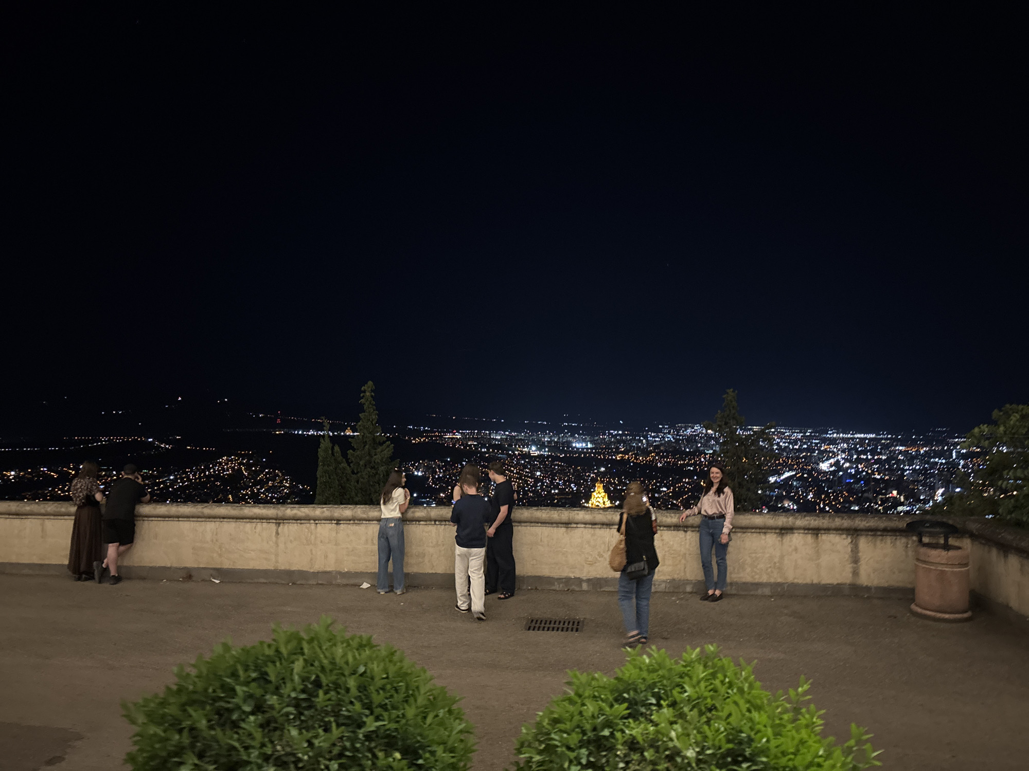 A group of people stand on a viewing platform overlooking the city of Tbilisi, Georgia at night. The city lights stretch out into the distance, creating a dazzling panorama against the dark sky. Several individuals are casually dressed and appear to be enjoying the view. Some are looking out at the cityscape, while others are talking amongst themselves. The platform is made of concrete and has a low wall or railing. In the foreground, lush green bushes add a natural element to the scene. A trash can is visible on the right side of the platform. The overall atmosphere is one of quiet contemplation and appreciation of the urban landscape.