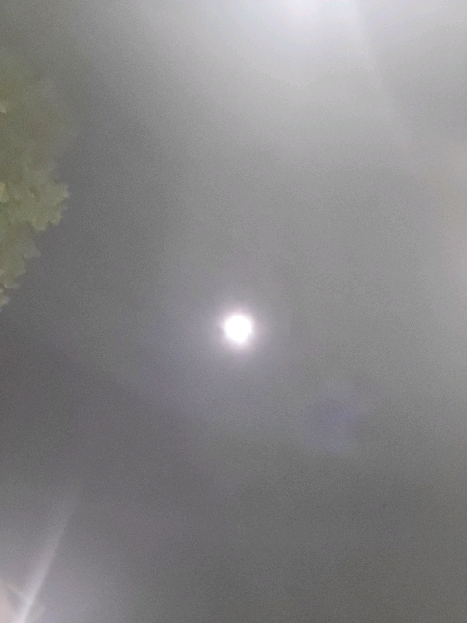The image depicts a sky at night, shrouded in fog or mist. A bright, circular light source, possibly the moon, is visible near the center, surrounded by a hazy glow. To the upper left, a portion of a tree or foliage can be discerned, its details softened by the atmospheric conditions. The overall scene is monochromatic, dominated by shades of gray and white, with a faint yellowish hue on the left edge. The image quality is grainy, suggesting it was taken with a low-light camera or in challenging visibility. The location in Ozolnieki, Latvia, implies a potentially rural or suburban setting given the presence of foliage.