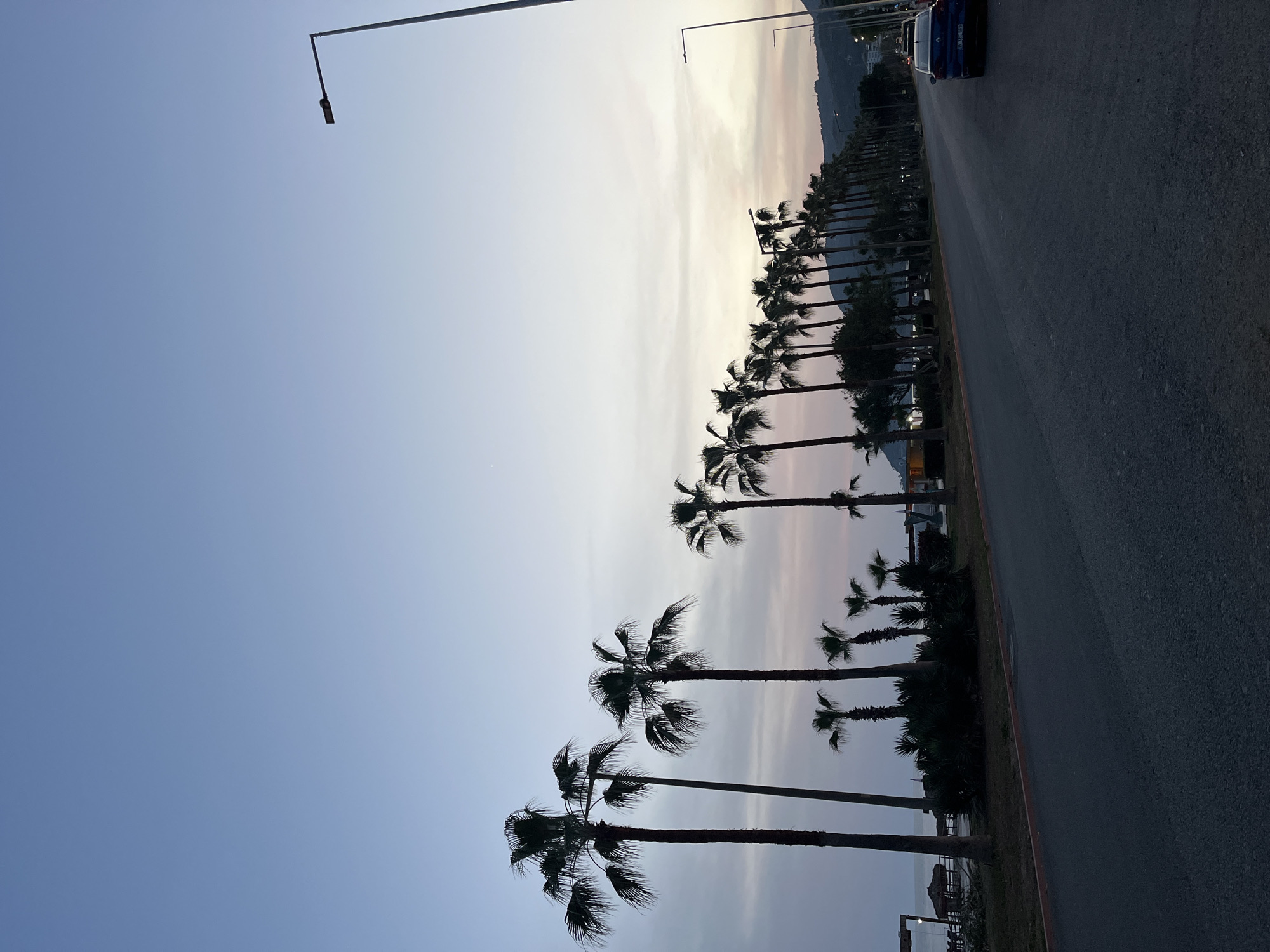 The image depicts a row of palm trees lining a road in Alanya, Turkey. The sky is light blue, transitioning to a pale, cloudy hue near the horizon. Streetlights are visible on the left side of the road, and a car is partially visible on the right. The road surface is dark gray. A mountain range appears in the background, near the horizon. The scene appears to be captured during dusk or dawn.