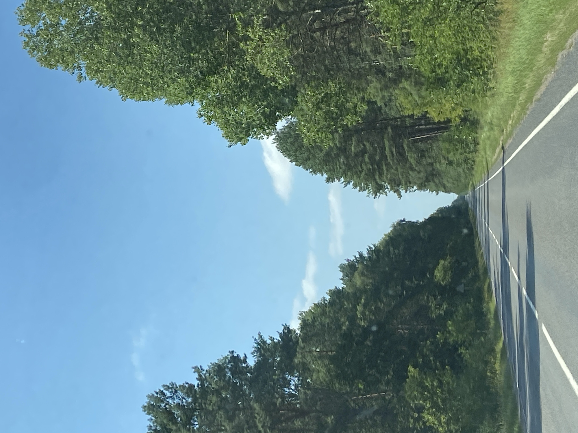 The image shows a straight asphalt road flanked by dense green trees on both sides, extending into the distance under a clear blue sky with a few scattered white clouds. The road has white lane markings. The trees on the left appear to be primarily pine trees, while the trees on the right are a mix of pine and deciduous trees. The scene suggests a rural or natural setting, likely a road traversing a forest. The location is identified as Matykal'ski sel'ski Saveit, Belarus.