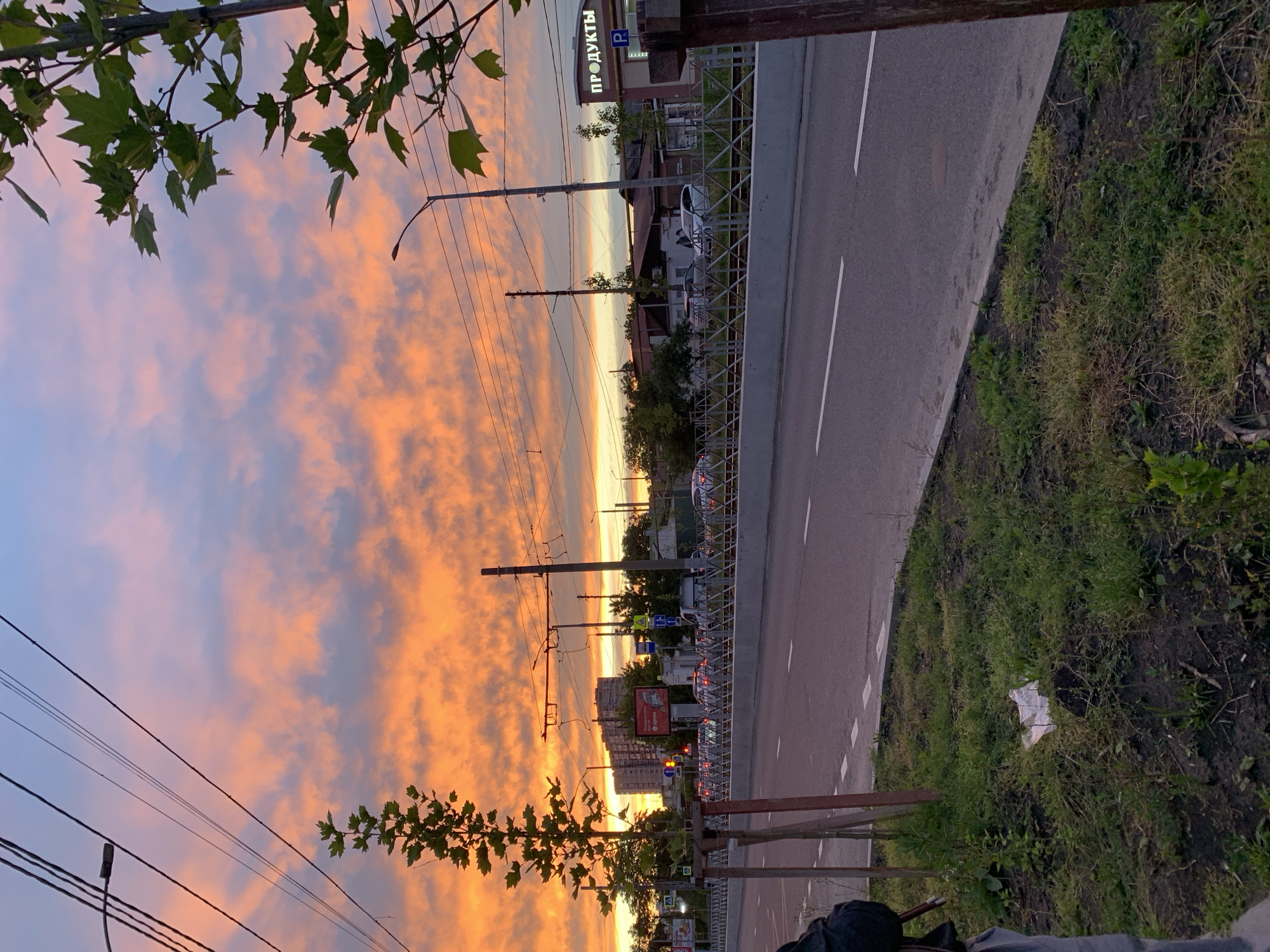 This image captures an urban street scene during either sunrise or sunset, characterized by a striking sky filled with warm orange, pink, and light blue clouds. Green tree branches with discernible leaves partially frame the upper left and lower left portions of the view.
The scene features a multi-lane asphalt road with white lane markings, curving slightly from left to right. A metal barrier separates the road from a strip of unkempt grassy ground on the right. Along the road, several utility poles with electrical wires are visible, extending into the distance.
In the midground, various urban buildings line the street. One prominent building displays a bright sign with the Cyrillic text "ПРОДУКТЫ," which translates to "GROCERIES" or "PRODUCTS," accompanied by a small "P" parking sign. Further down the road, traffic is visible, along with streetlights, traffic signals, and other less distinct billboards or signs. The warm, soft light from the sky bathes the entire setting, creating a serene atmosphere despite the urban environment. A piece of white litter is visible on the grassy verge near the road.