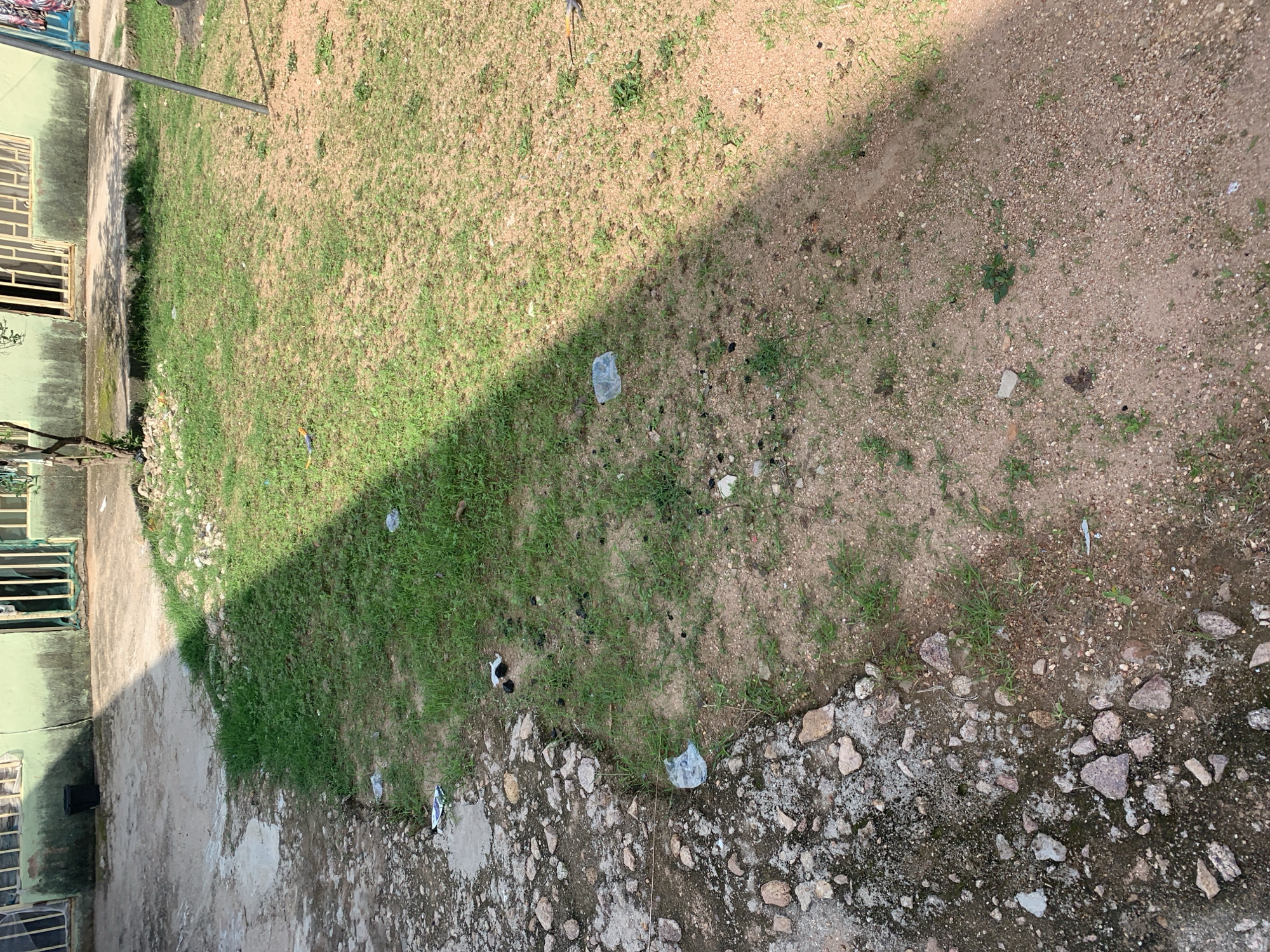 The image depicts an outdoor scene with a paved area to the left and a grassy, sandy patch to the right. The paved area is covered in debris, including rocks and what appears to be a puddle. The grassy area is uneven and sparsely vegetated with patches of dry earth. Scattered across both areas are pieces of litter, including plastic bags and wrappers, as well as some dark, irregularly shaped objects that may be animal droppings. In the background, a light green building with barred windows is visible. A tall metal pole stands on the right side of the image, casting a shadow across the scene. The overall impression is one of neglect and disarray, suggesting an unmaintained public or semi-public space within Jalingo, Nigeria.