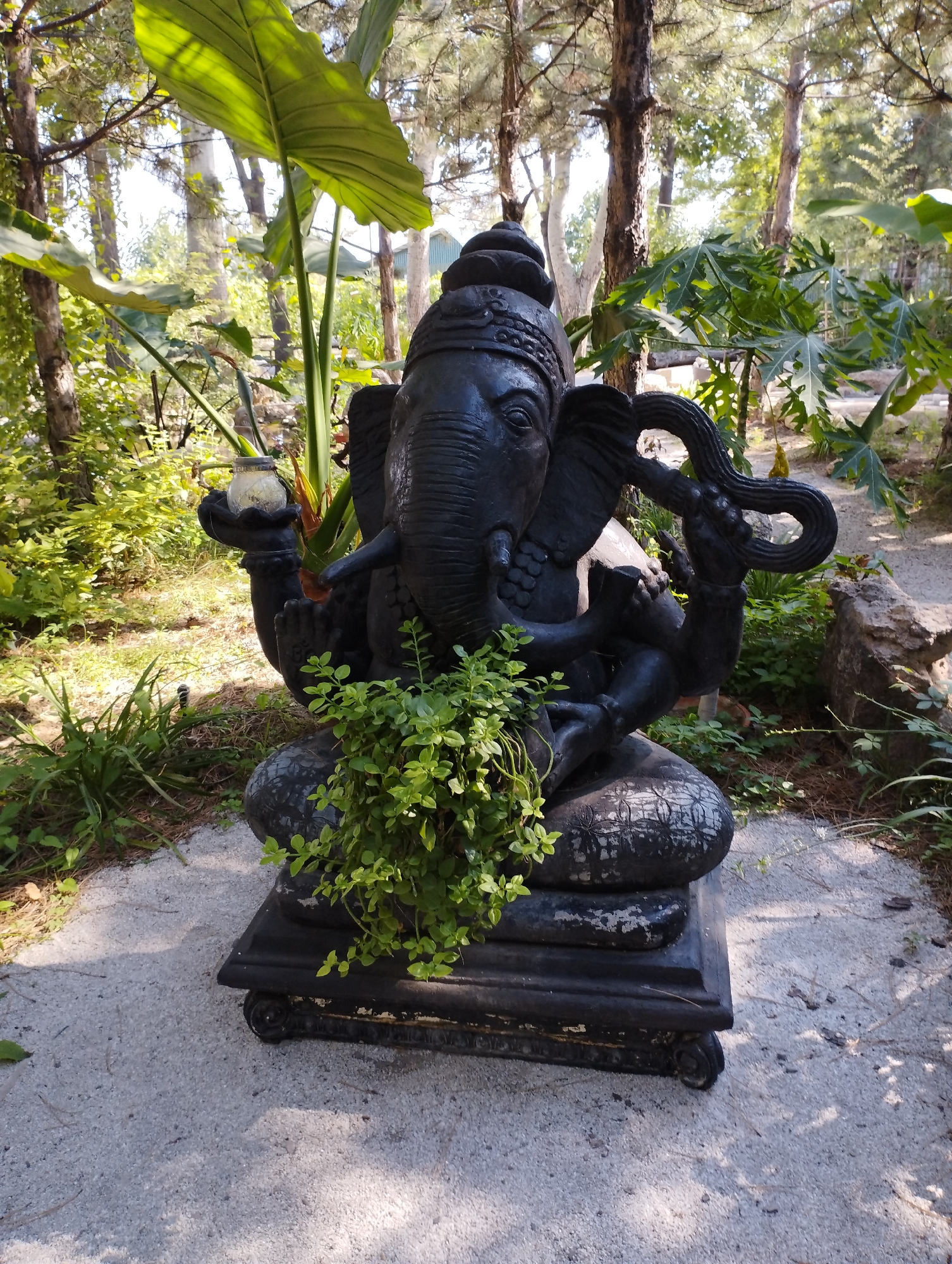 A dark stone statue of Ganesha, a Hindu deity with an elephant head, sits on a stone pedestal. The statue is dark grey and appears to be weathered. It is adorned with carved details. A small plant with bright green leaves is growing in front of the statue. The statue is surrounded by lush green foliage, tall trees with thin trunks, and dappled sunlight filters through the leaves, creating shadows on the ground. The ground is covered with light-colored gravel and some scattered pine needles. The overall setting suggests an outdoor garden or park area. There are no people present in the image.