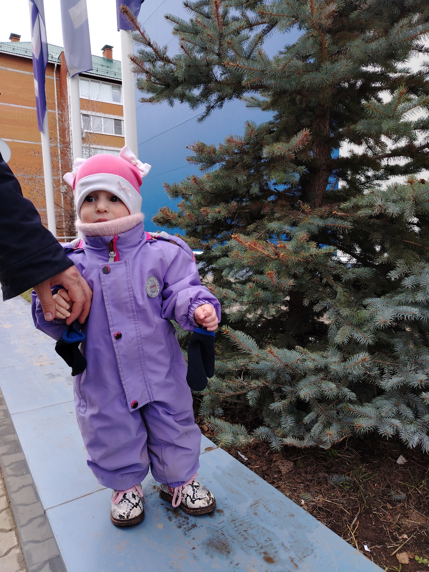 A young child in a purple snowsuit and a pink hat with bows stands on a blue ledge near an evergreen tree. The child is holding the hand of an adult whose arm is visible to the left of the child. The child is wearing patterned shoes with pink laces. Buildings and flagpoles are visible in the background. The photo was taken outdoors in Chaikovsky, Russia.