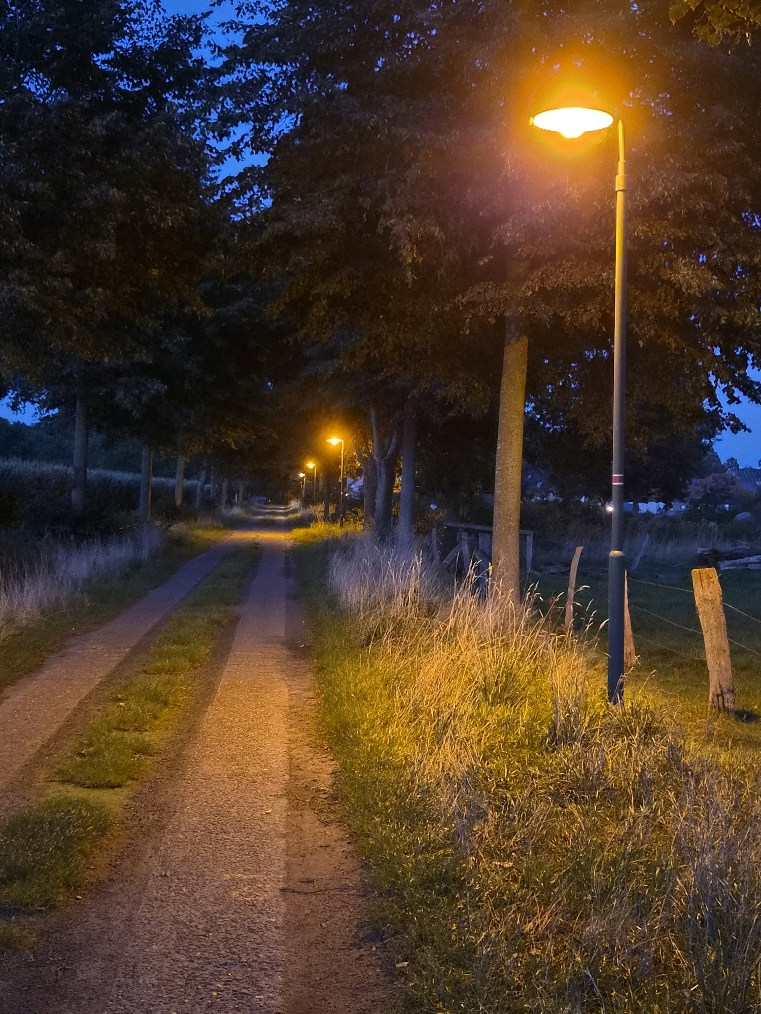 A dirt road lined with trees and grass is illuminated by streetlights at dusk or night. The road appears to be in a rural or semi-rural area, possibly on the outskirts of Schiffdorf, Germany. The sky is dark blue, indicating it is either twilight or nighttime. The streetlights cast a warm, orange glow on the road and the surrounding vegetation. There are no people visible in the image. The overall atmosphere is peaceful and serene, with the natural elements of trees, grass, and dirt road contrasting with the artificial light of the streetlamps.