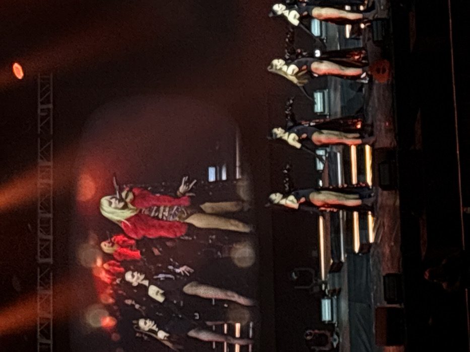 This image depicts a live concert performance occurring indoors, likely at the Tbilisi Sports Palace in Tbilisi, Georgia. The scene is dominated by a warm, red-orange lighting scheme with spotlights illuminating the stage.
In the background, a large video screen displays a prominent blonde female singer, identifiable as Verka Serduchka, wearing a bright red fur coat over a patterned bodysuit. She is actively singing into a microphone, held with her right hand, while her left hand forms a "V" gesture. Several female background dancers in dark outfits are visible behind her on the screen.
On the physical stage in the foreground, four female dancers are positioned in a synchronized line, facing right. Each dancer wears a black leotard or one-piece garment, black high-heeled boots, and long, flowing black capes with a distinct red circular embellishment on their left side. They appear to be performing a choreographed pose with their left legs extended forward and right arms slightly extended backward. The stage surface is dark, featuring illuminated horizontal strips behind the dancers. Overhead, stage lighting trusses are visible. The overall environment suggests a large-scale performance venue with an audience present, indicated by a partial silhouette at the bottom center.
