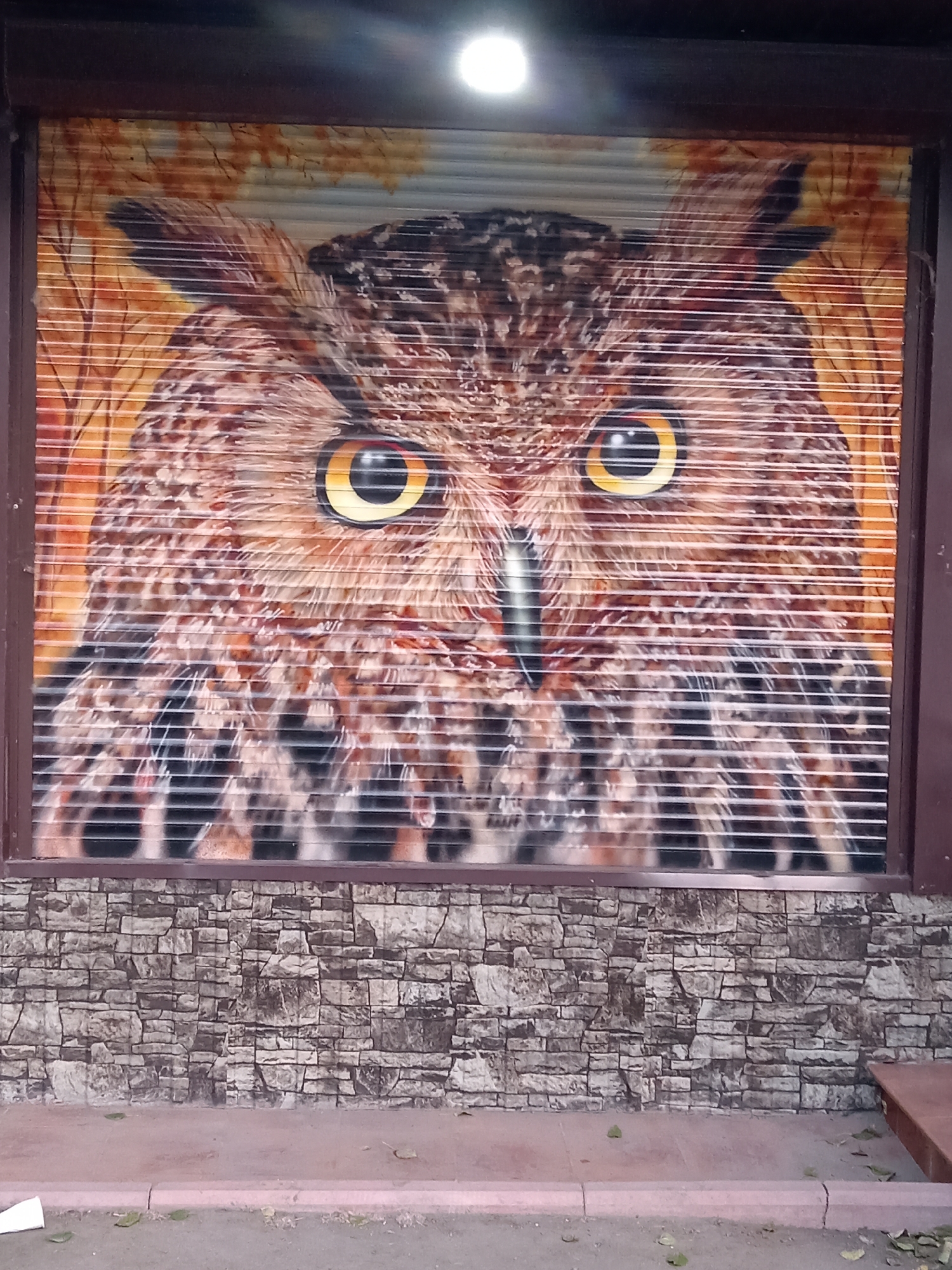 A mural of an owl's face is painted on a corrugated metal shutter. The owl has large, piercing yellow eyes with black pupils, and its feathers are depicted in shades of brown, black, and white. The background of the mural appears to be a forest with bare trees and muted autumnal colors. The shutter is framed by a dark brown border. Below the shutter, the wall is covered with decorative stone tiles in shades of grey and brown. A pinkish-grey concrete walkway runs in front of the stone wall, and a patch of grey asphalt is visible further down. A reddish-brown wooden bench is partially visible to the right of the frame. The image was taken in Rudny, Kazakhstan.