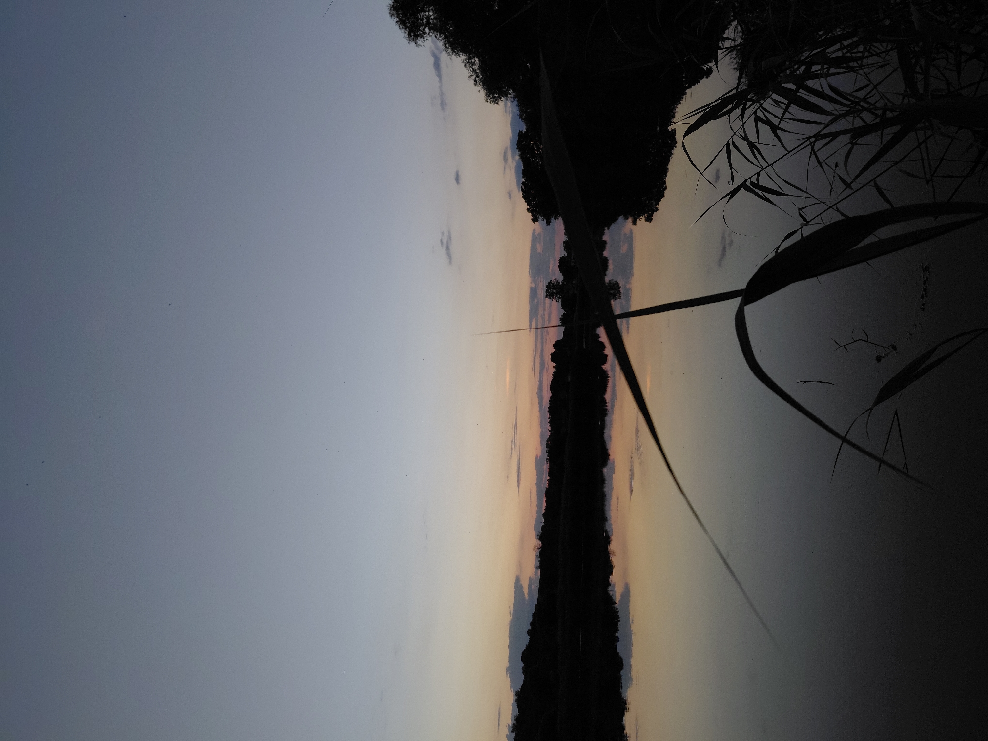 The image depicts a tranquil lake scene at dusk in the village of Ustyvytsia, Ukraine. Silhouettes of reeds frame the foreground, with their slender blades reaching into the dark water. The water itself is a calm, reflective surface, mirroring the soft hues of the twilight sky and the dark outline of trees and vegetation on the opposite bank. The sky transitions from a pale, almost lavender grey at the top to warmer shades of peach and pink near the horizon, where a faint glow suggests the setting sun. Scattered, small clouds drift across the upper part of the sky, and a few tiny specks, possibly birds, are visible against the lighter portions of the sky. The overall impression is one of quiet natural beauty and peacefulness at the close of day.