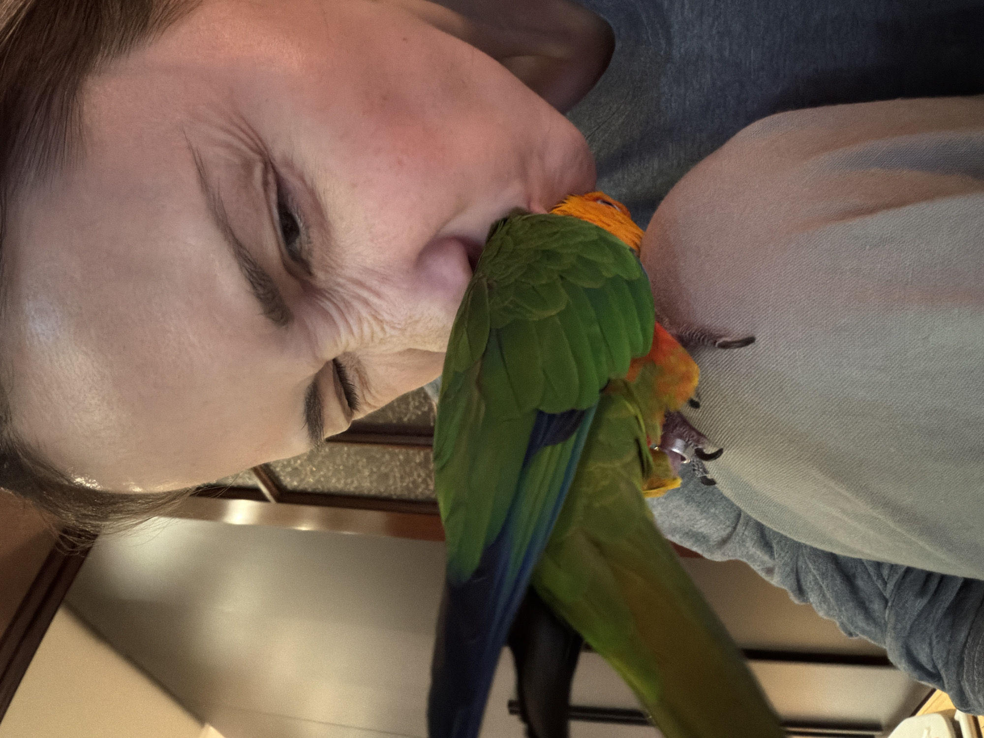 A close-up, angled shot shows a fair-skinned person with their left eye closed, pressed against the side of their face. A colorful parrot, primarily green with orange on its head and wings, is perched on the person's face near their nose. The person is wearing a gray long-sleeved shirt. The background includes a kitchen counter with a metallic vent or grate and light-colored cabinets. The location of the image is unspecified, including location in the city of Khimki, Russia.